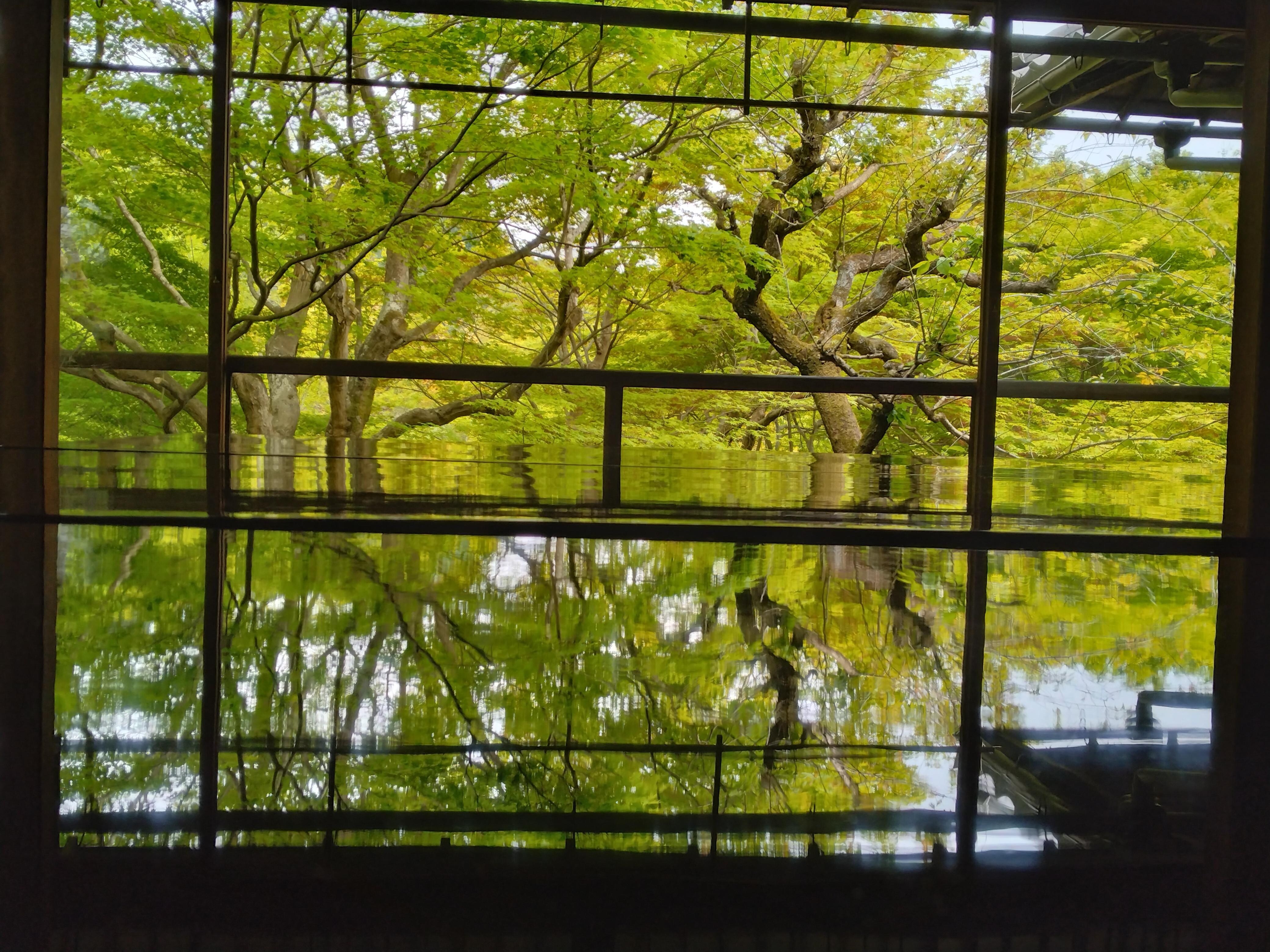 瑠璃光院で有名な景色を眺めることができました