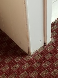 Mold at floor outside bathroom