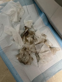 Dirty wipes after wiping rubber gasket on washing machine interior