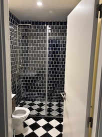 Restroom and shower connected to the bedroom.