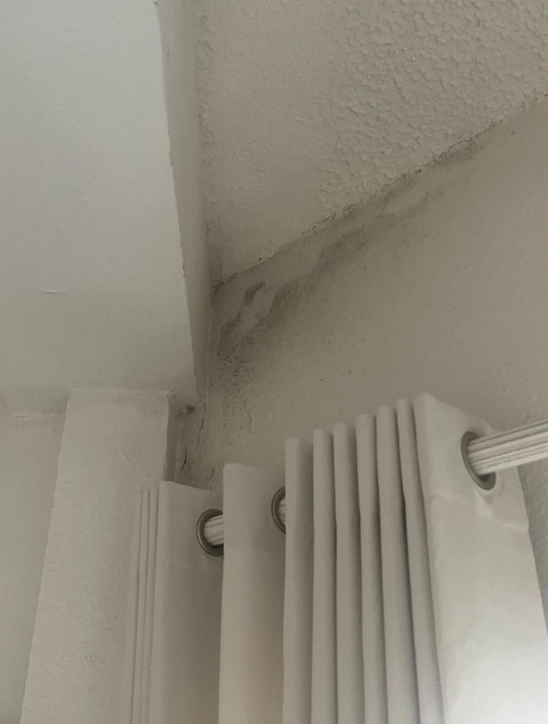 Mold in living area 
