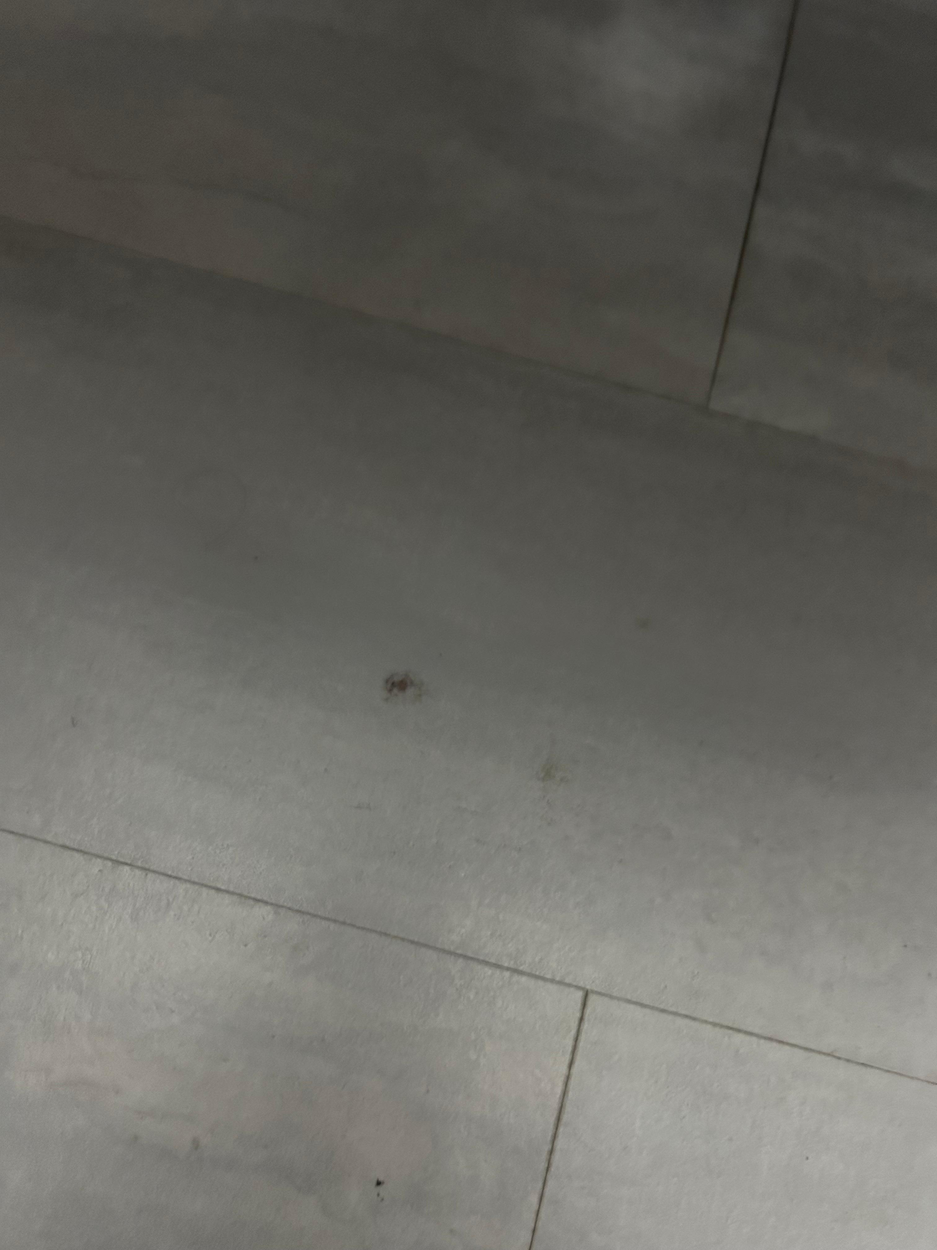 More dirty floor