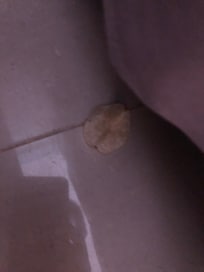 piso del cuarto