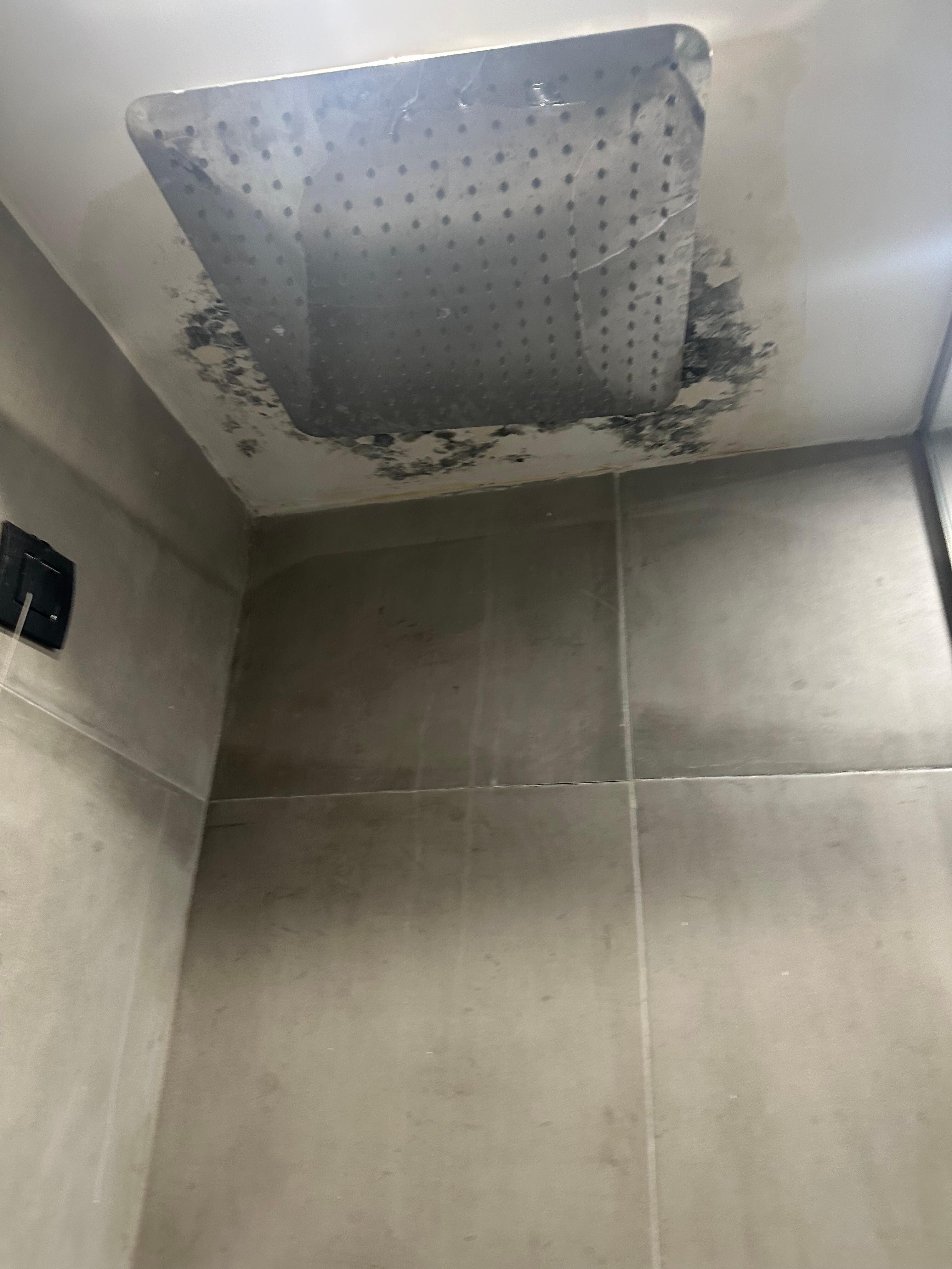 Mold on the shower ceiling 