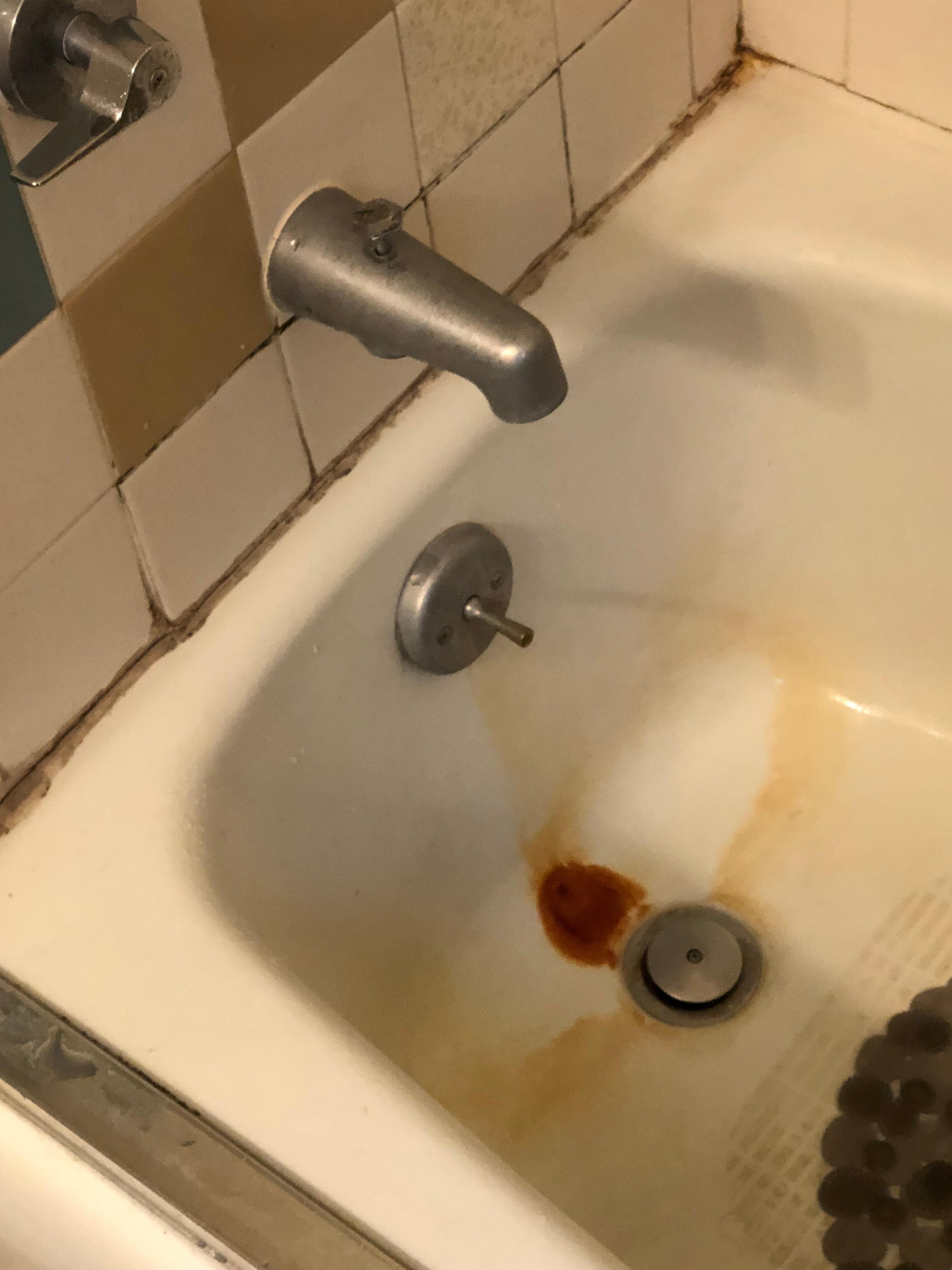 This is what the shower and bath looked like.