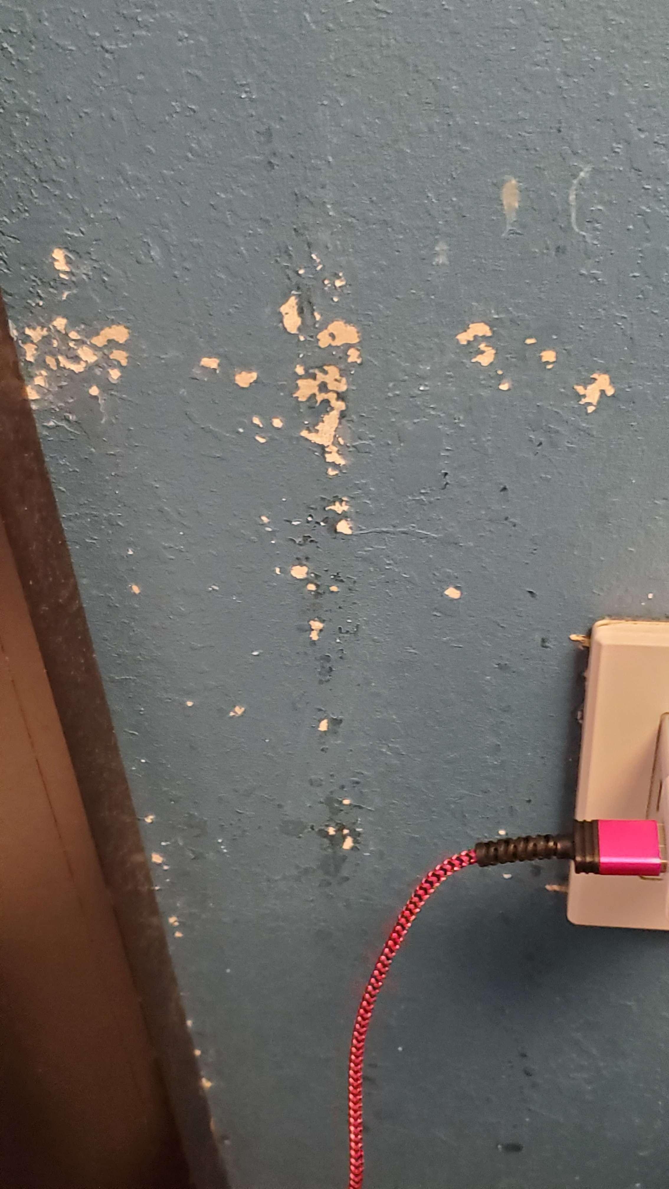 Paint coming off the walls all over the room