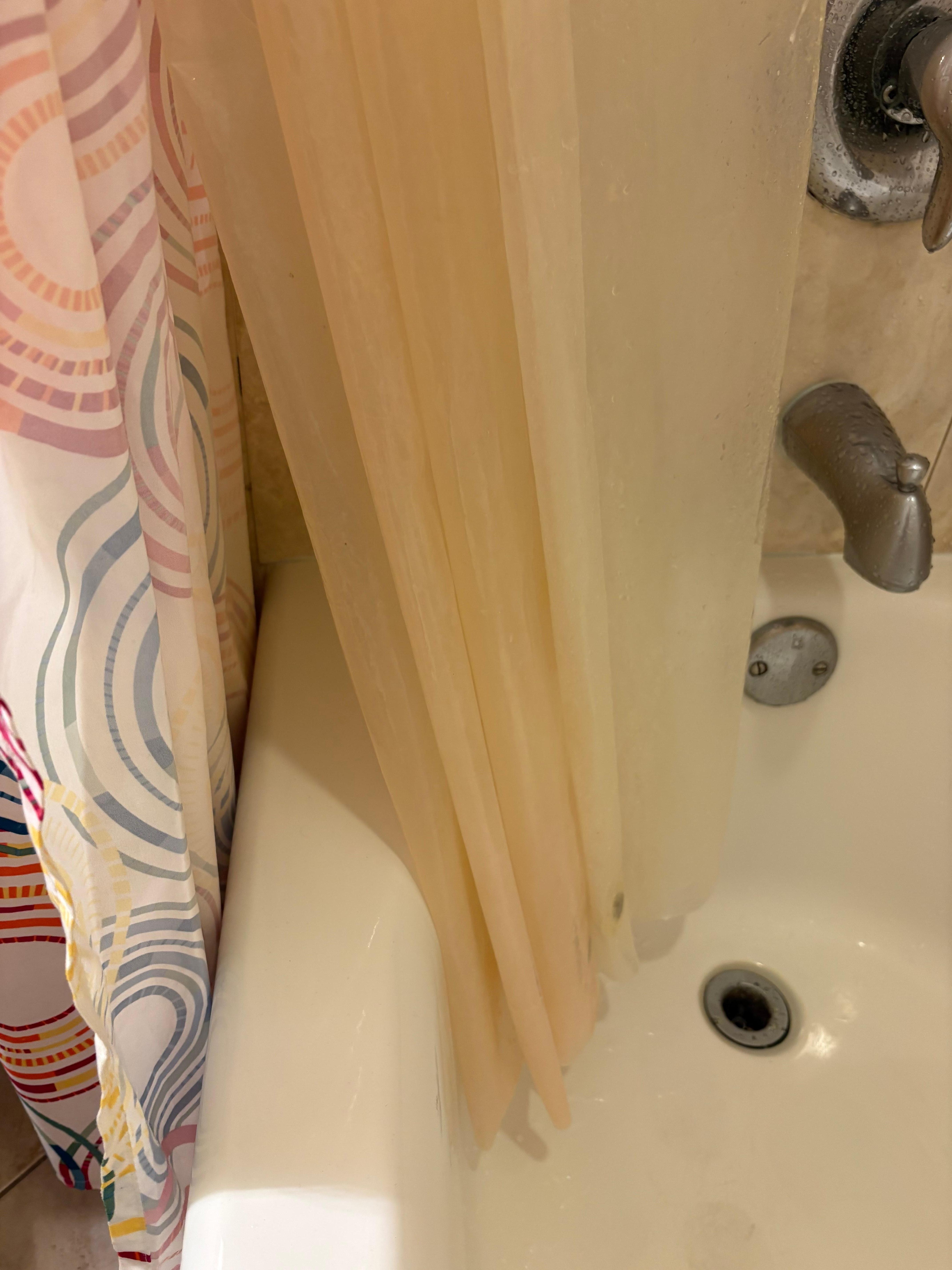 Shower liner. Easy to replace. 