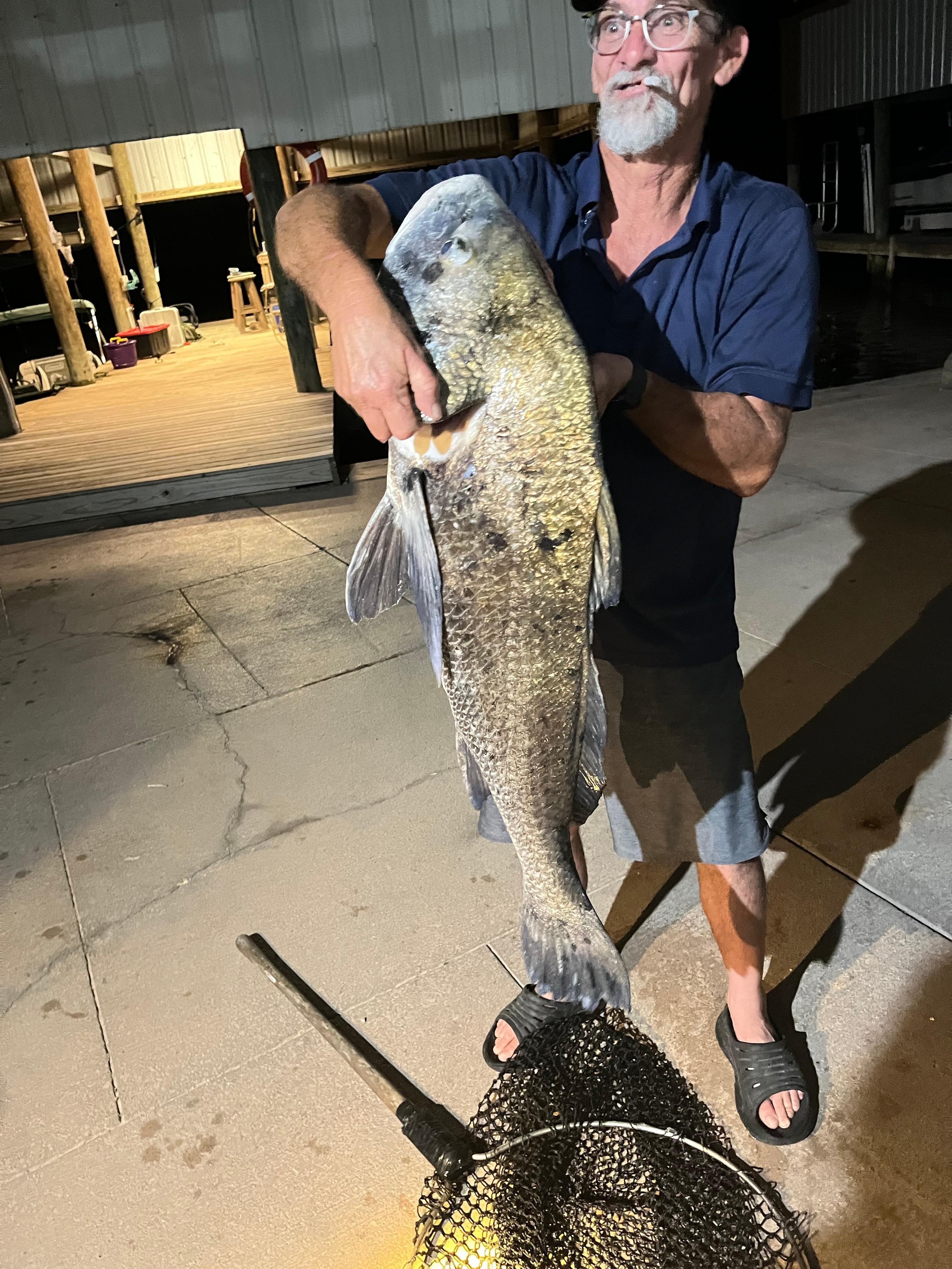Day 1- 38” drum caught from canal behind camp