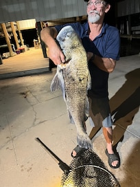 Day 1- 38” drum caught from canal behind camp