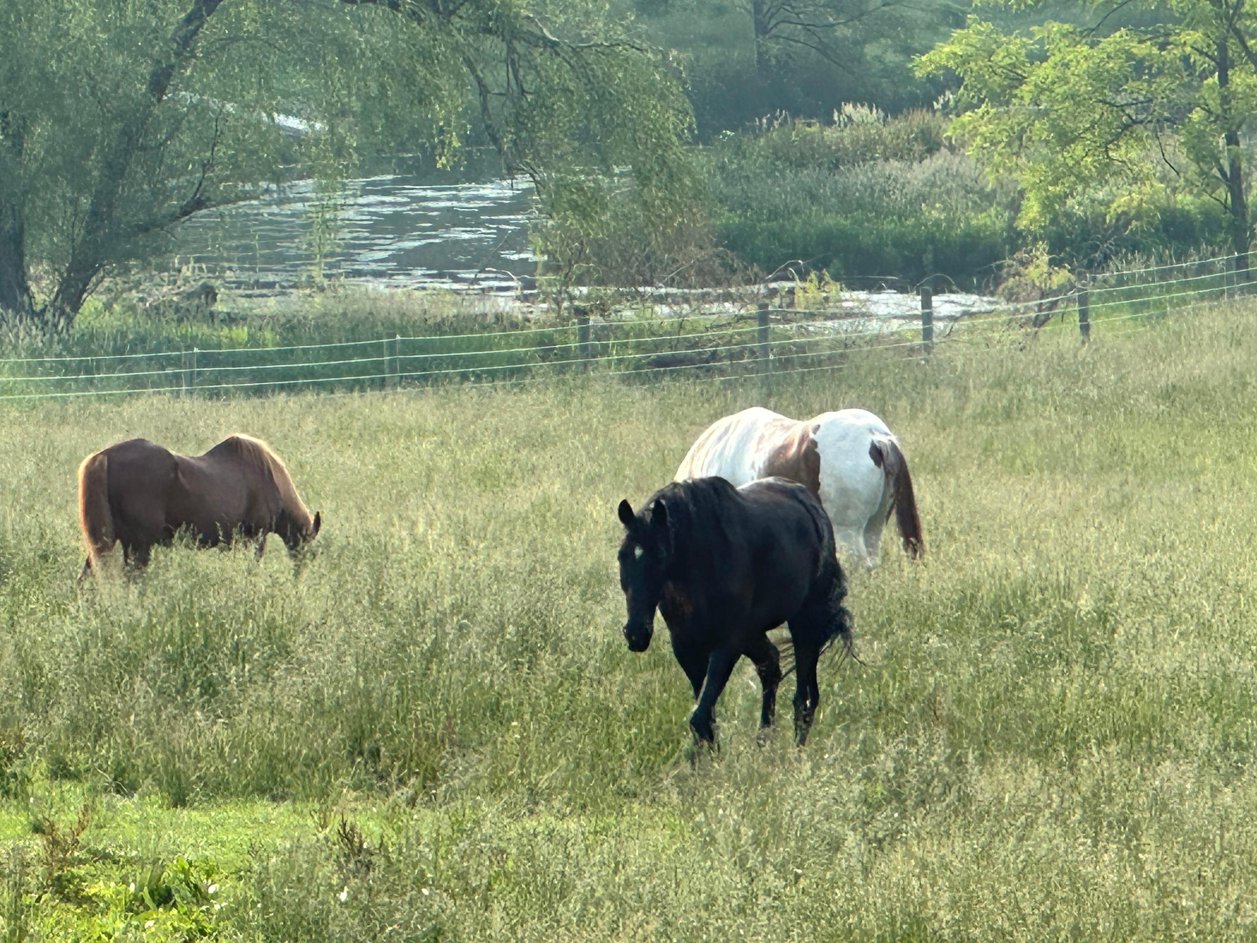 View from up the street by the house