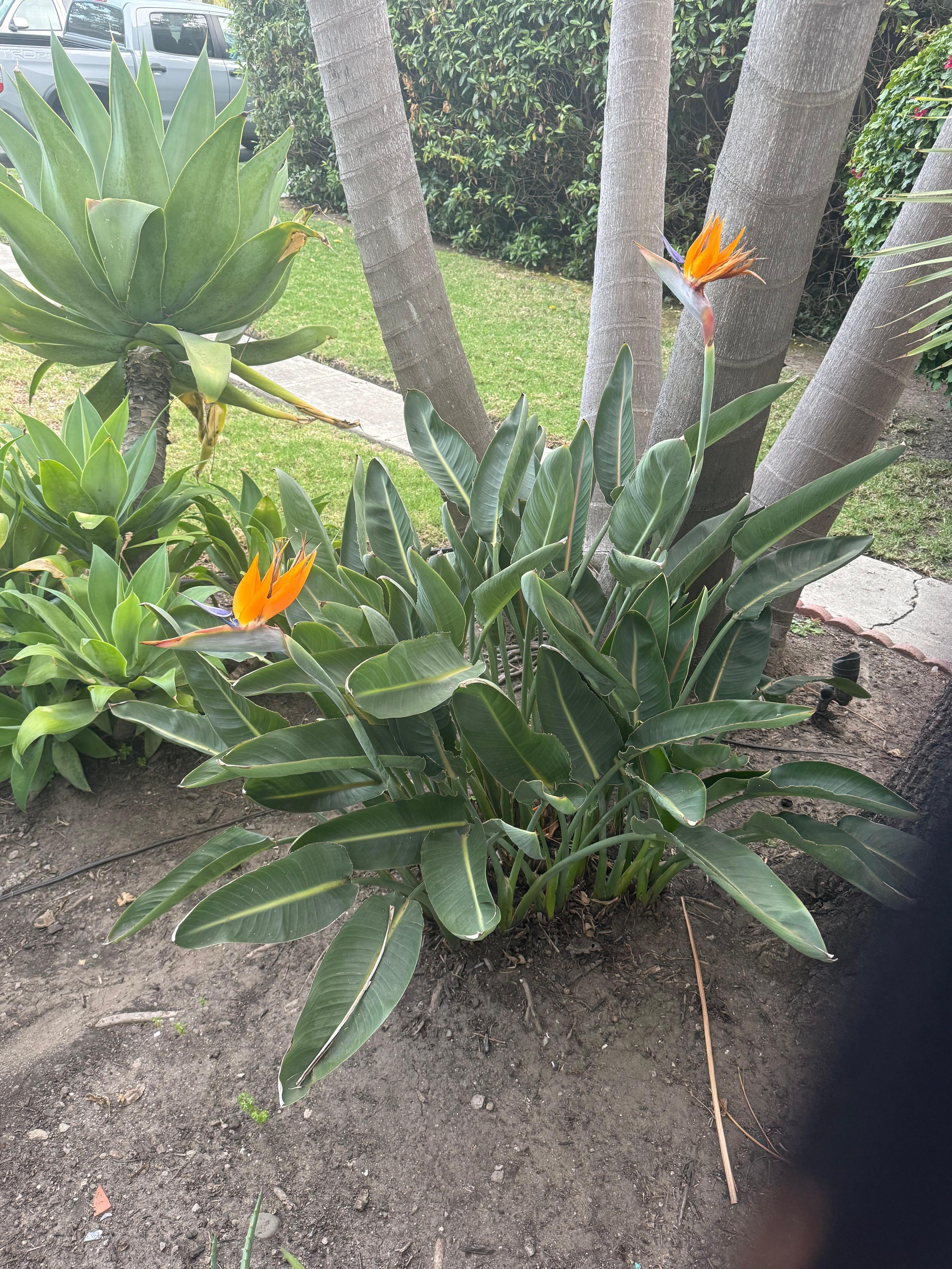 Beautiful landscaping.