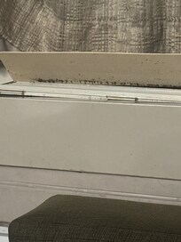Mold around the windows