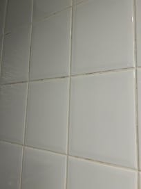 Mold