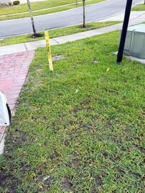 Trash still visible in the yard as we were leaving.