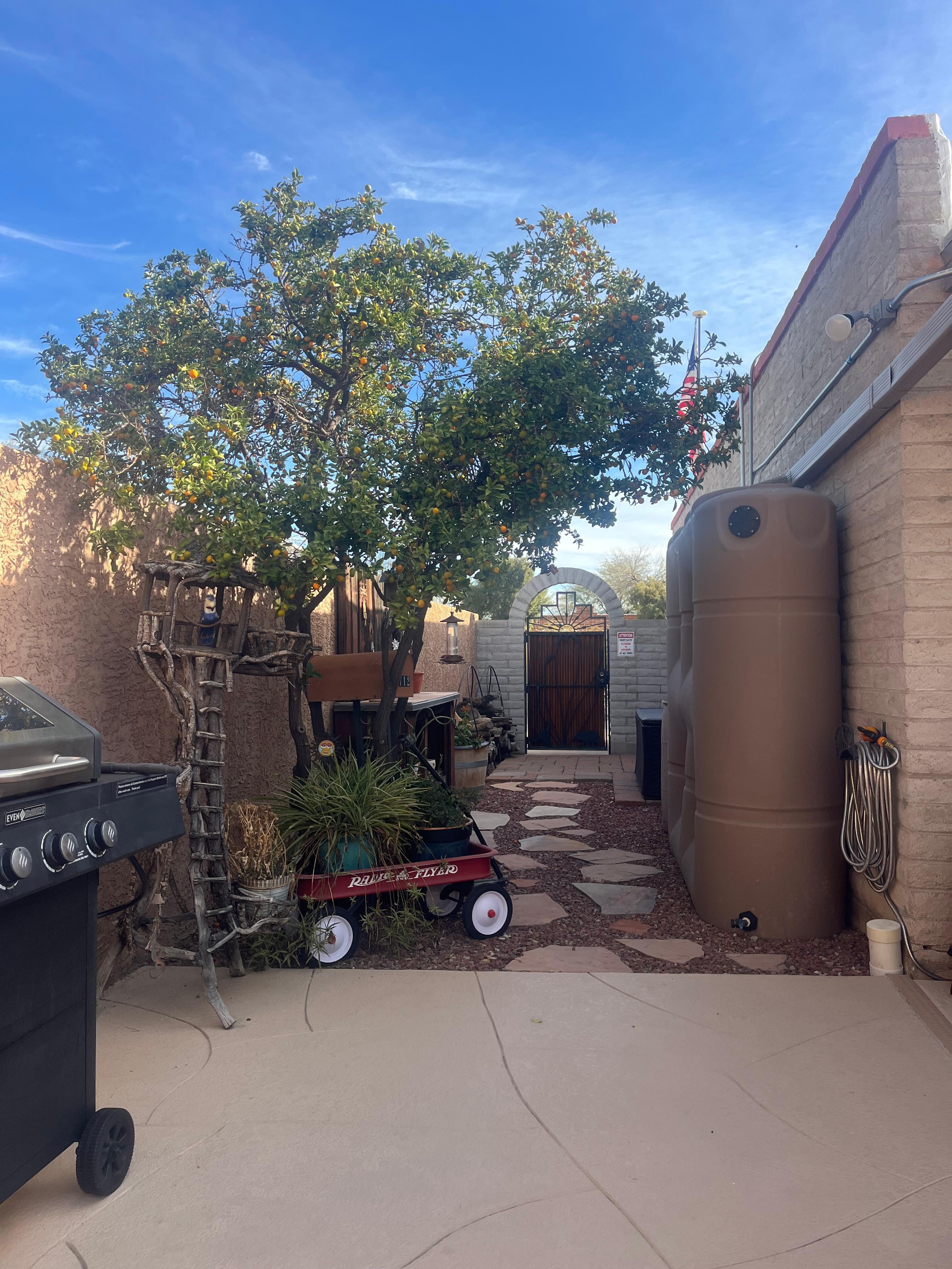 Beautiful landscaping 