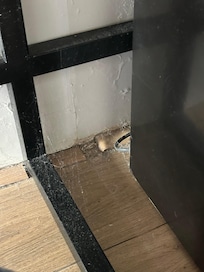 Teias de aranha ao lado do frigobar