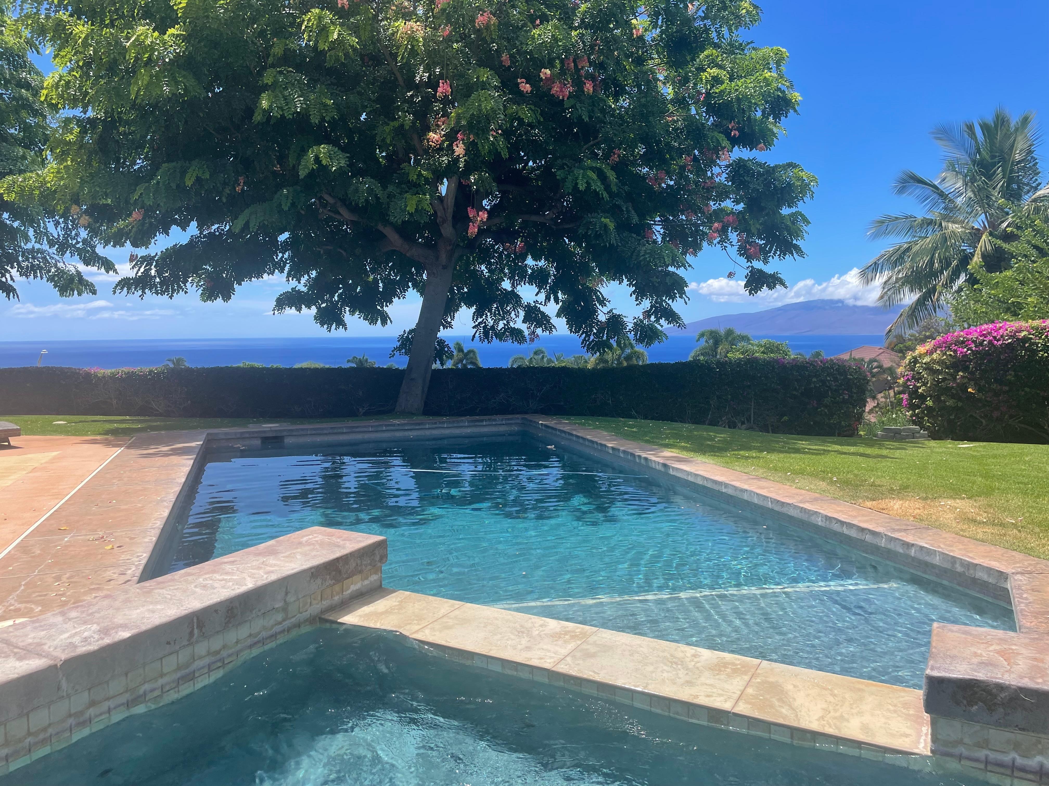Lovely pool, hot tub and view!