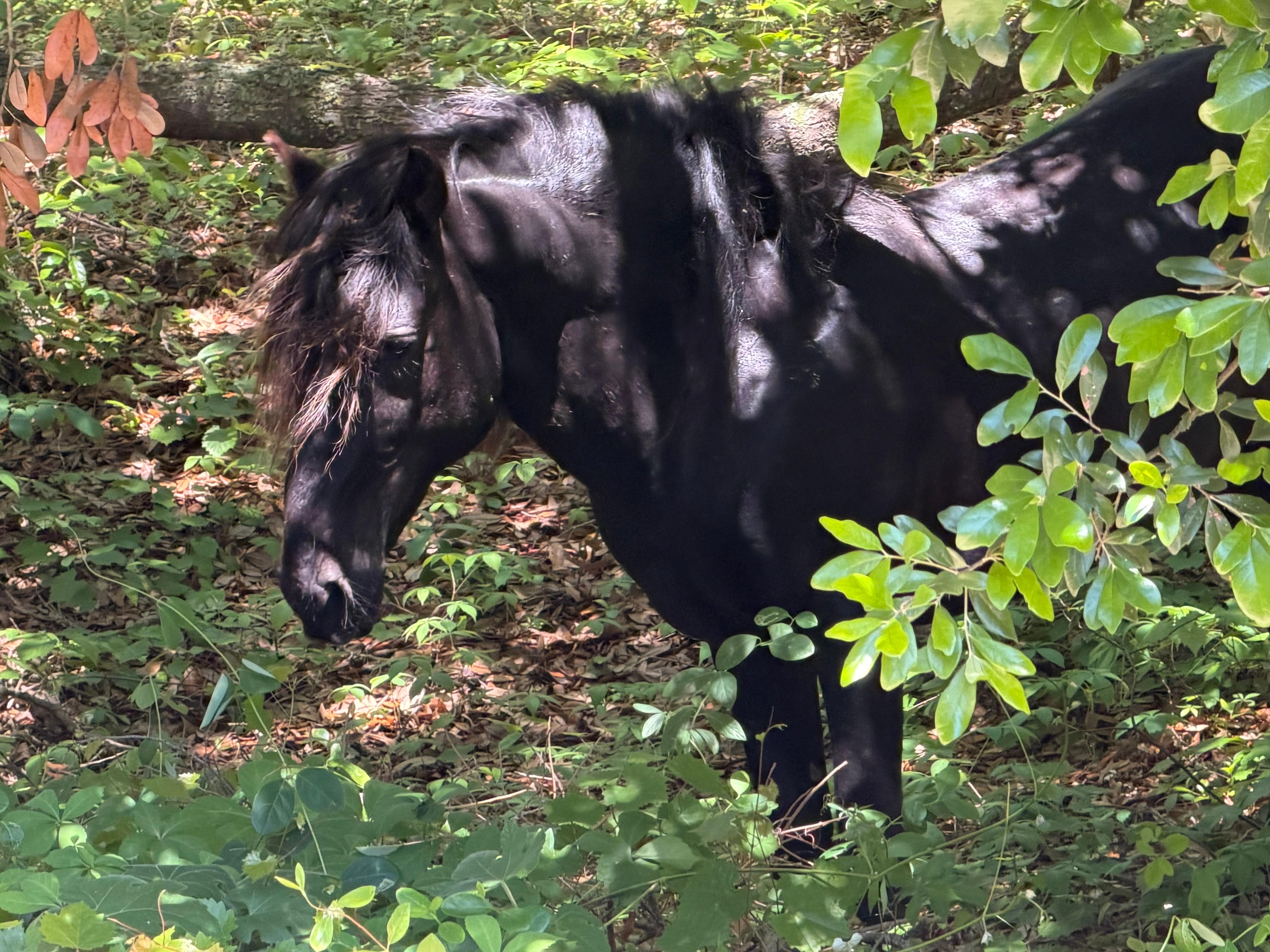 On property