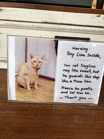 Das Hotel strahlt Wärme aus.