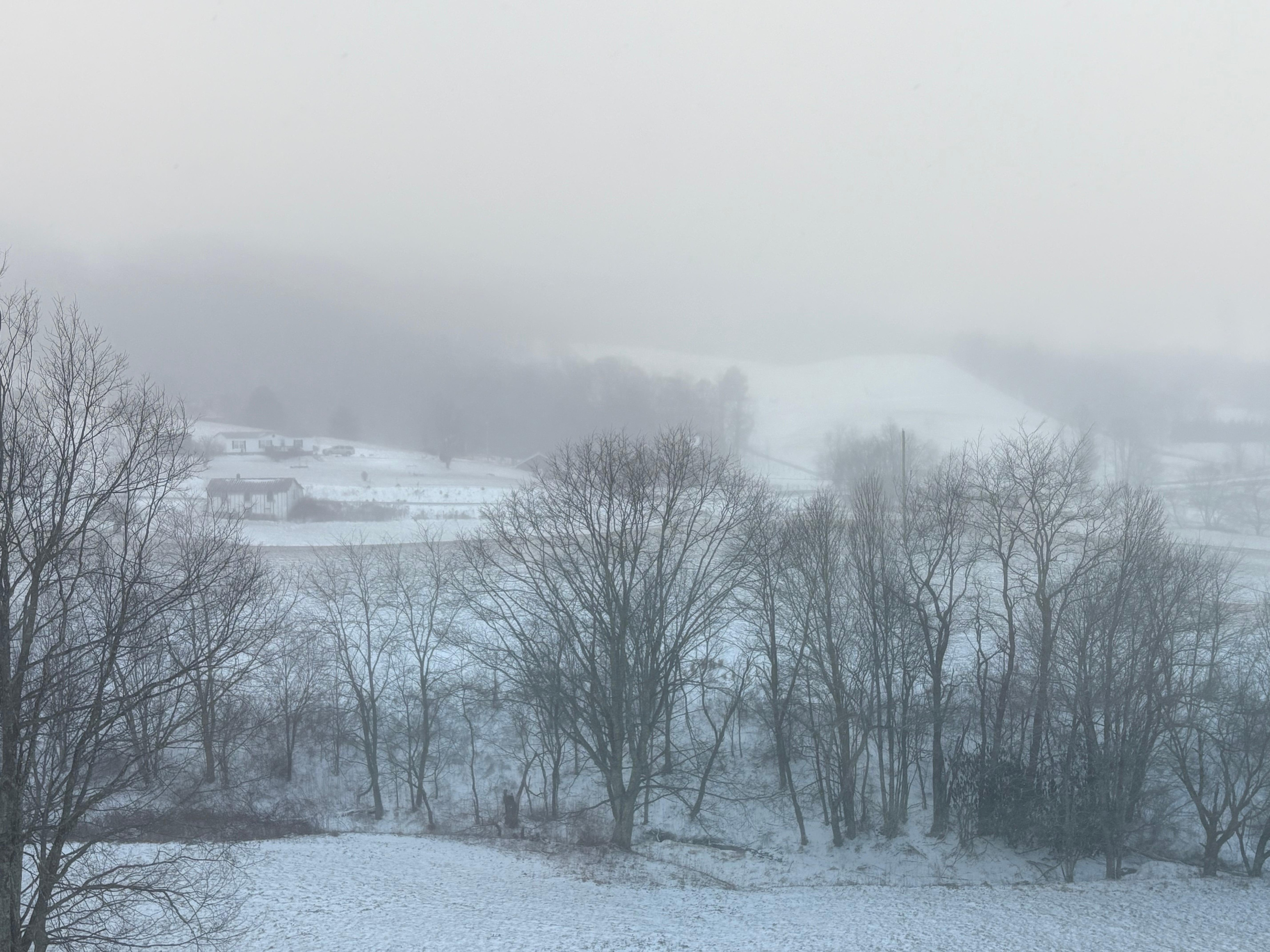 We woke up to snow!  My family lives in Central America and the kids have never seen it.  Wonderful views.  
