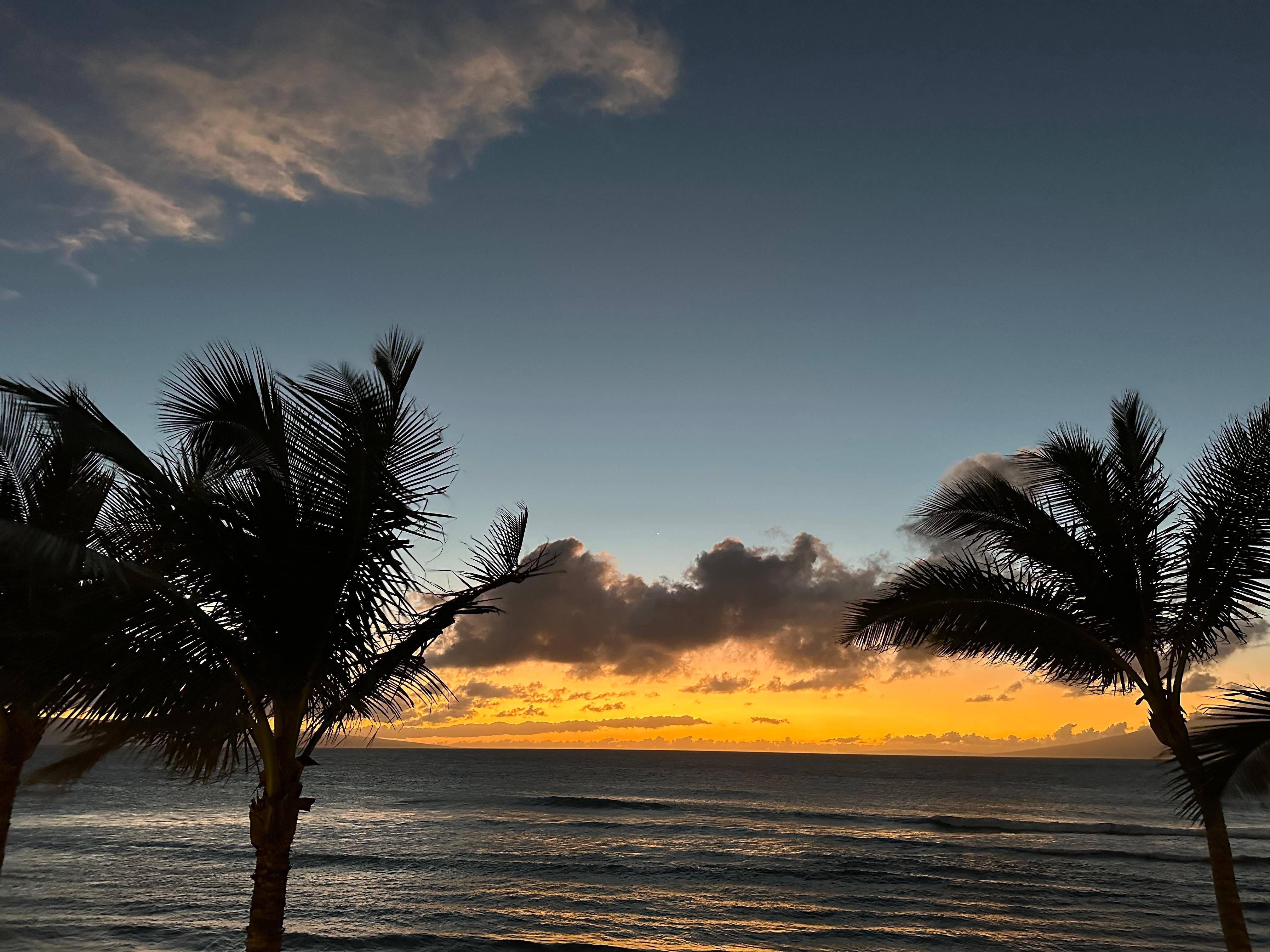 Sunset framed by palm trees from lanai 