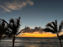 Sunset framed by palm trees from lanai