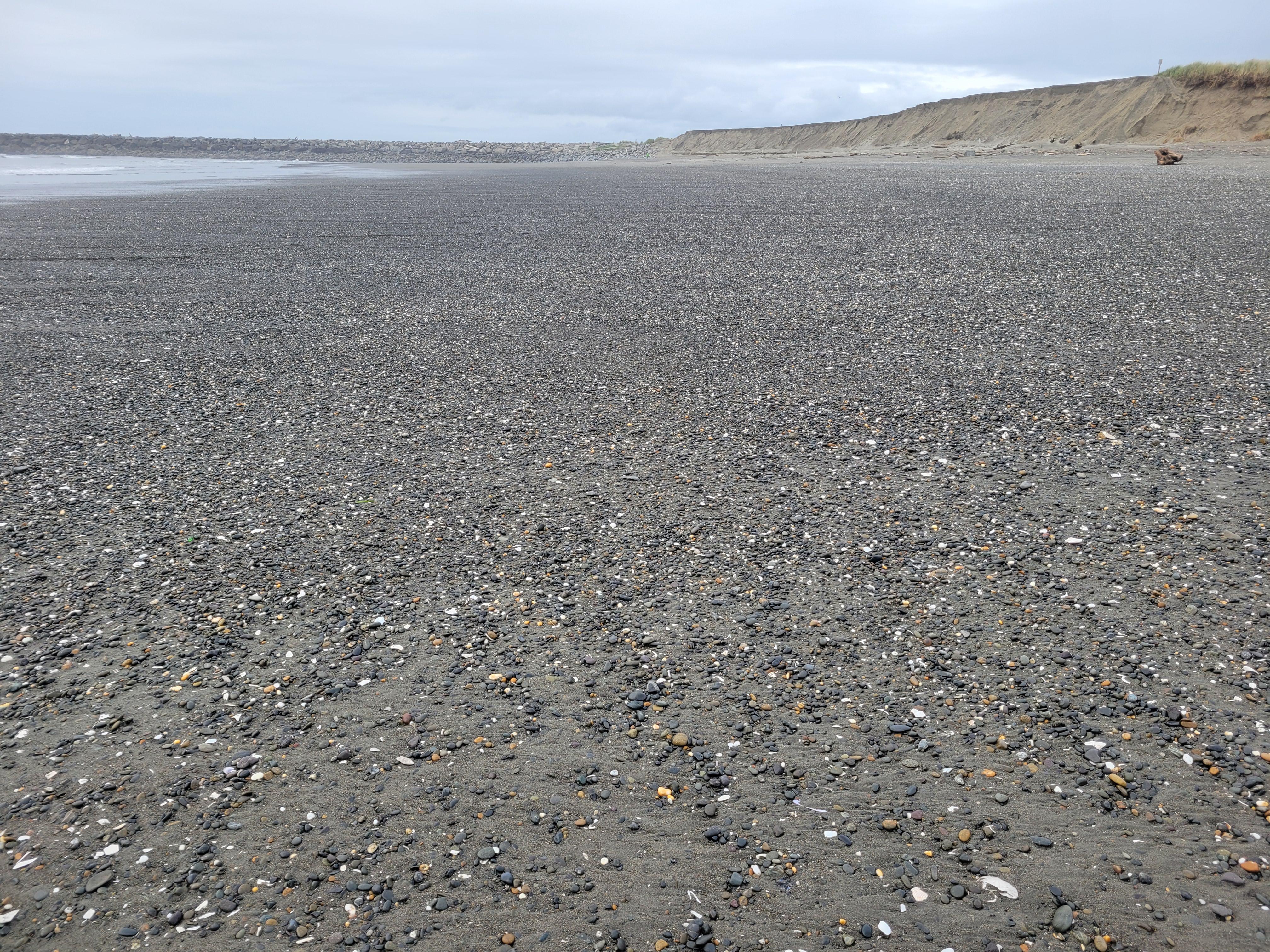 Excellent beach combing!