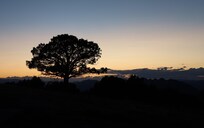 Beautiful sunsets out the back door.