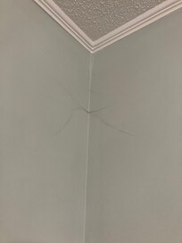 Bugs/spiders inside