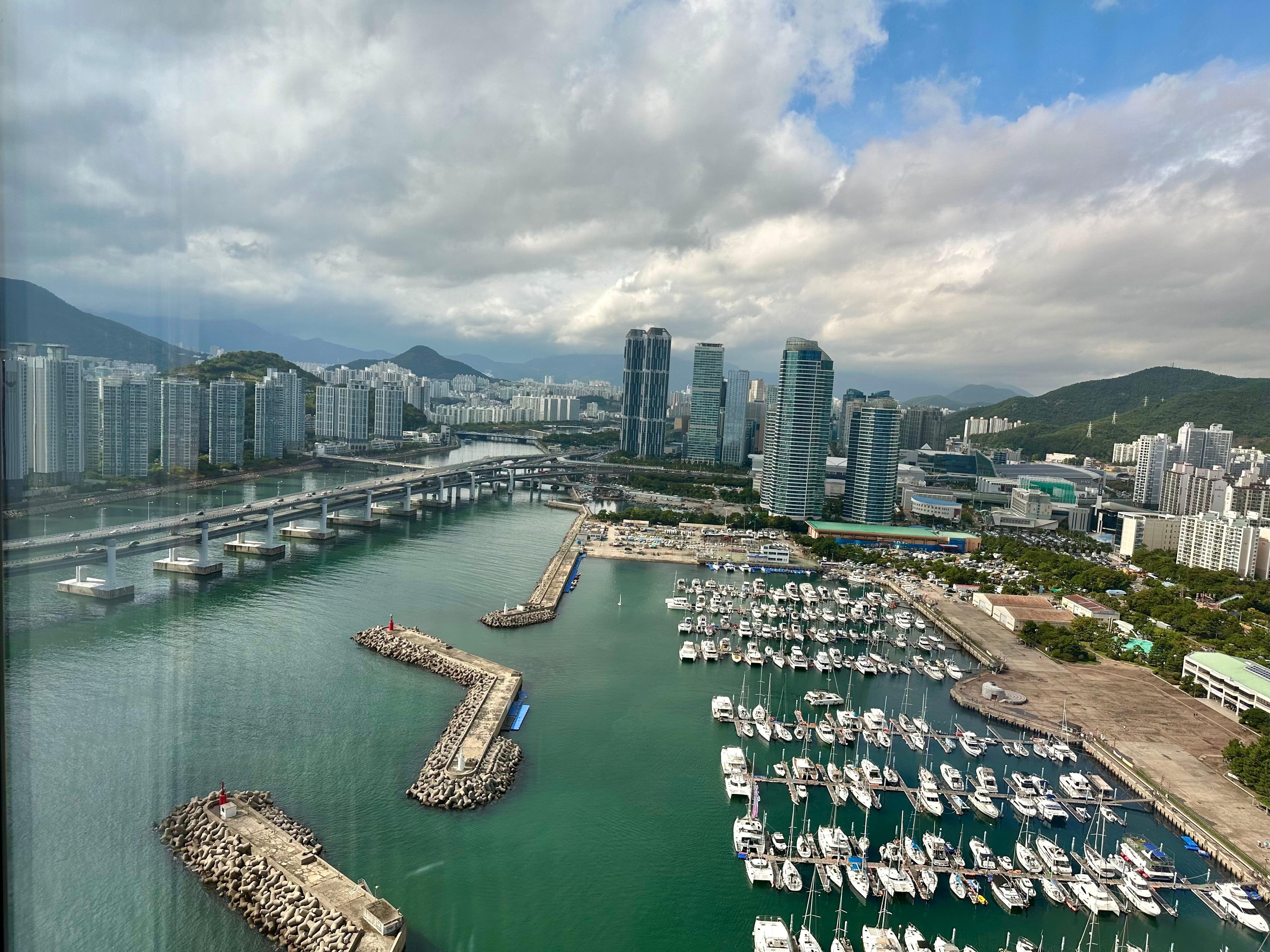 The Marina view from the 28th floor