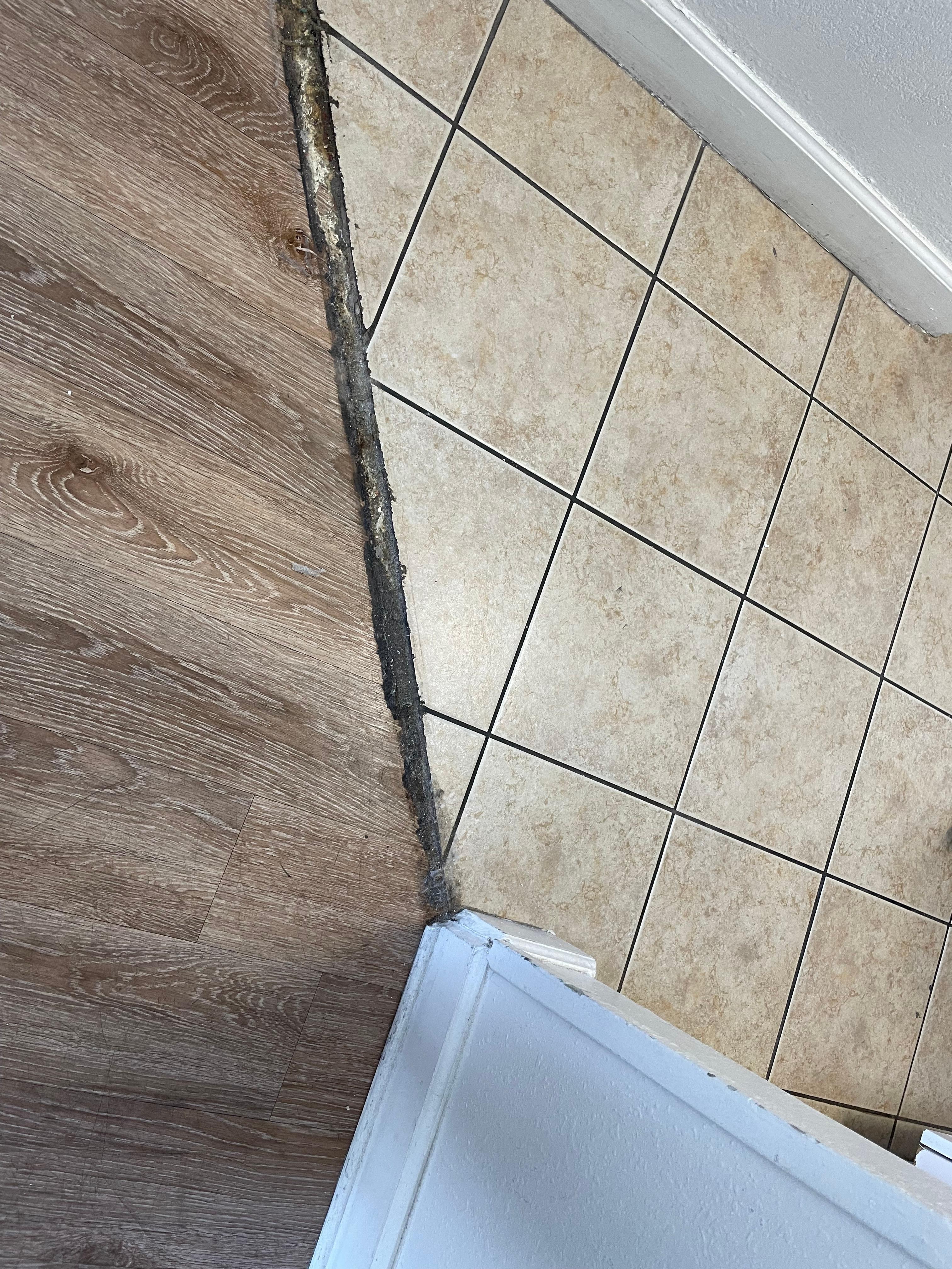 Floor in between rooms