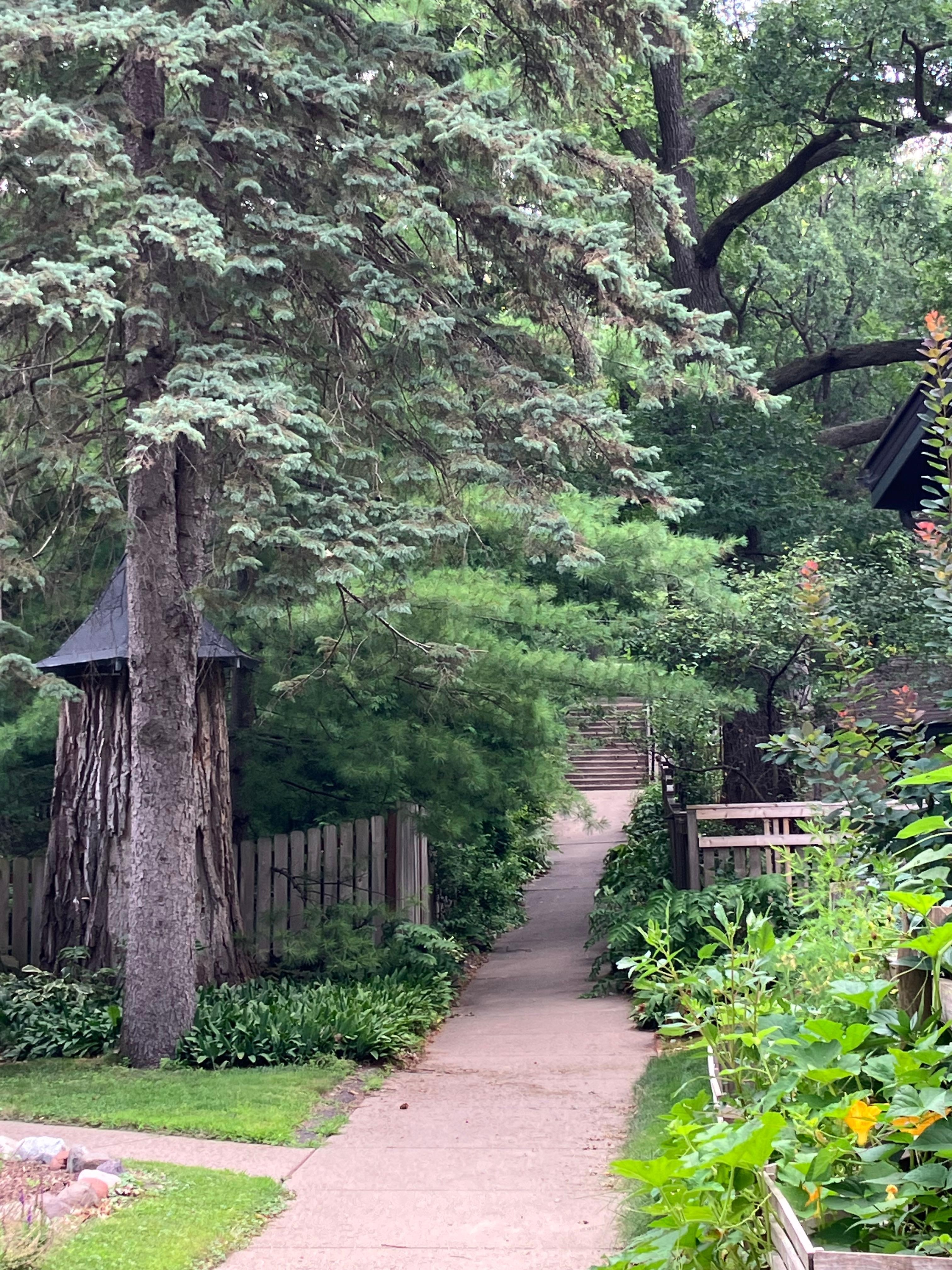 Sweet path to Como Ave.