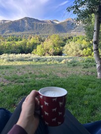 Morning view from back deck