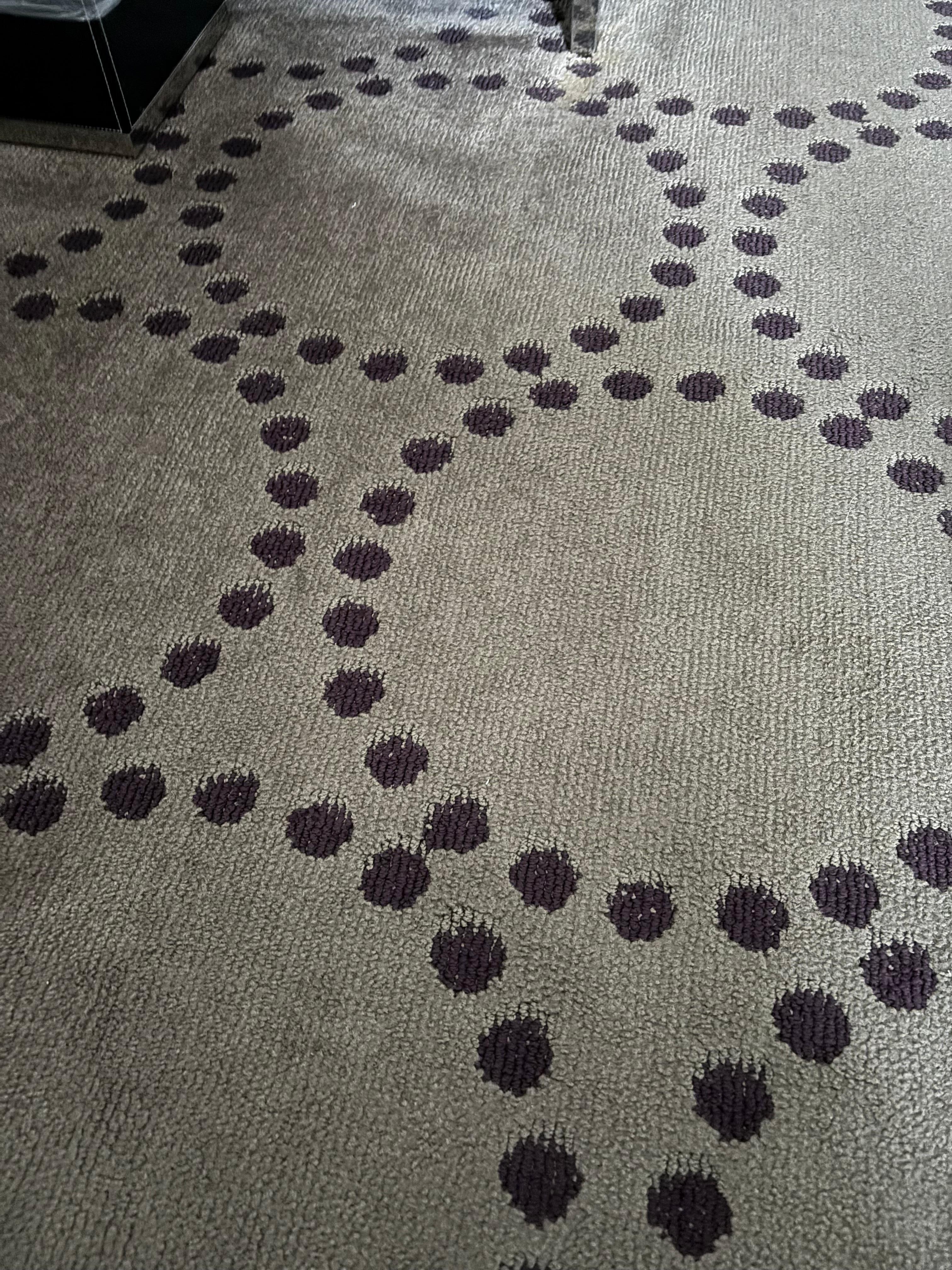 Lint and dirt on floor 