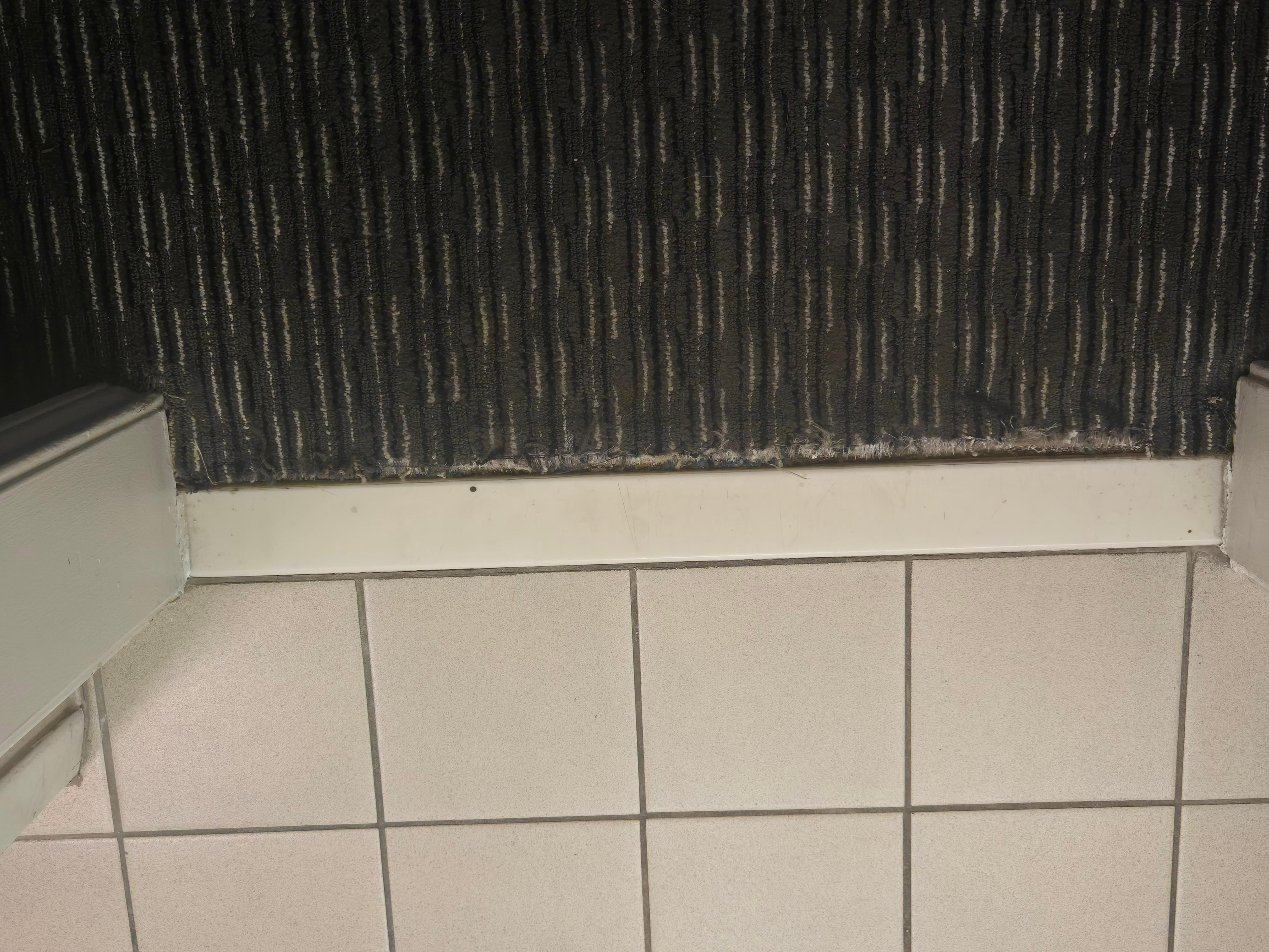 Carpet Threshold to bathroom.