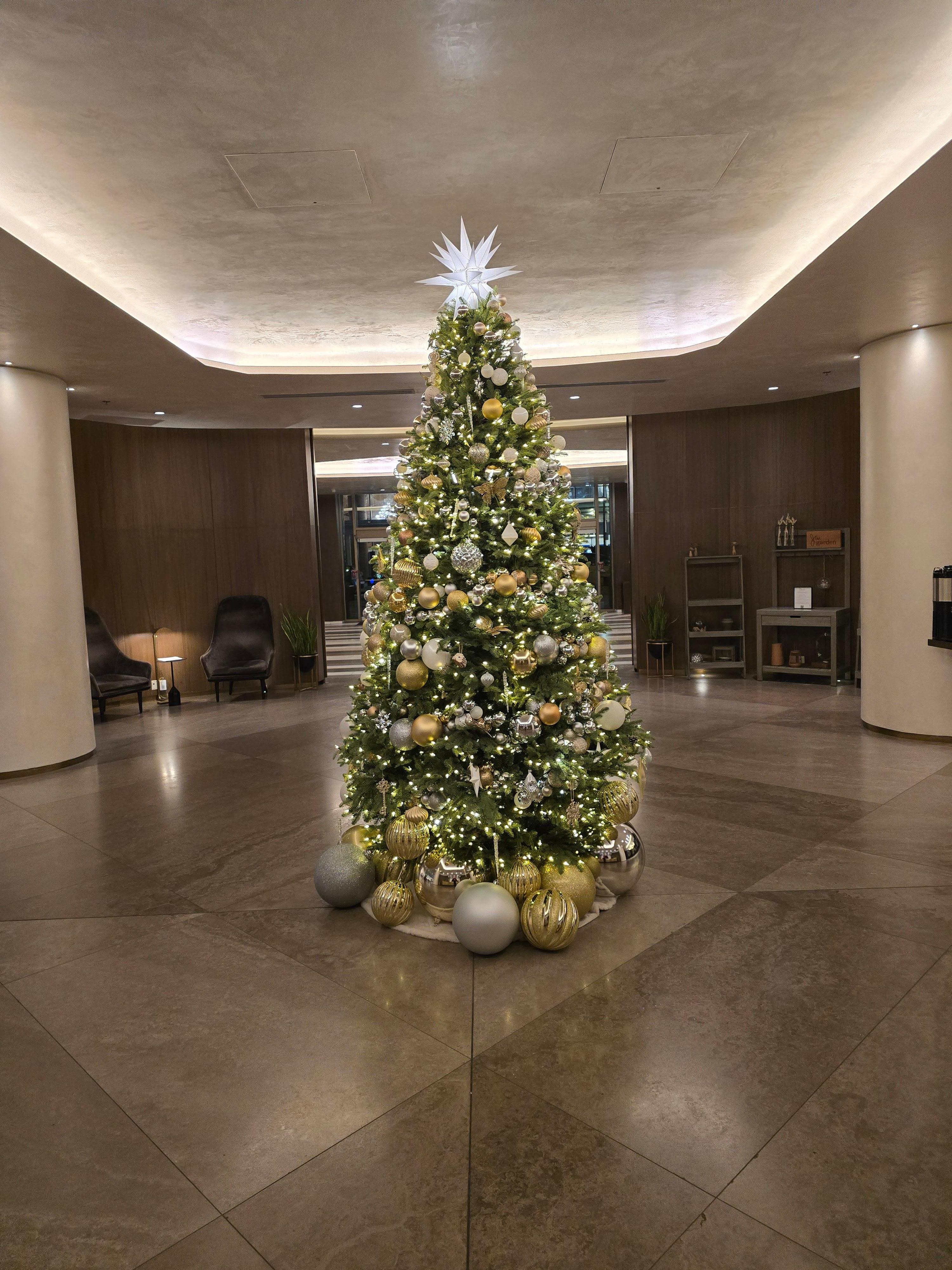 Wonderful tree in lobby.