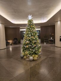 Wonderful tree in lobby.