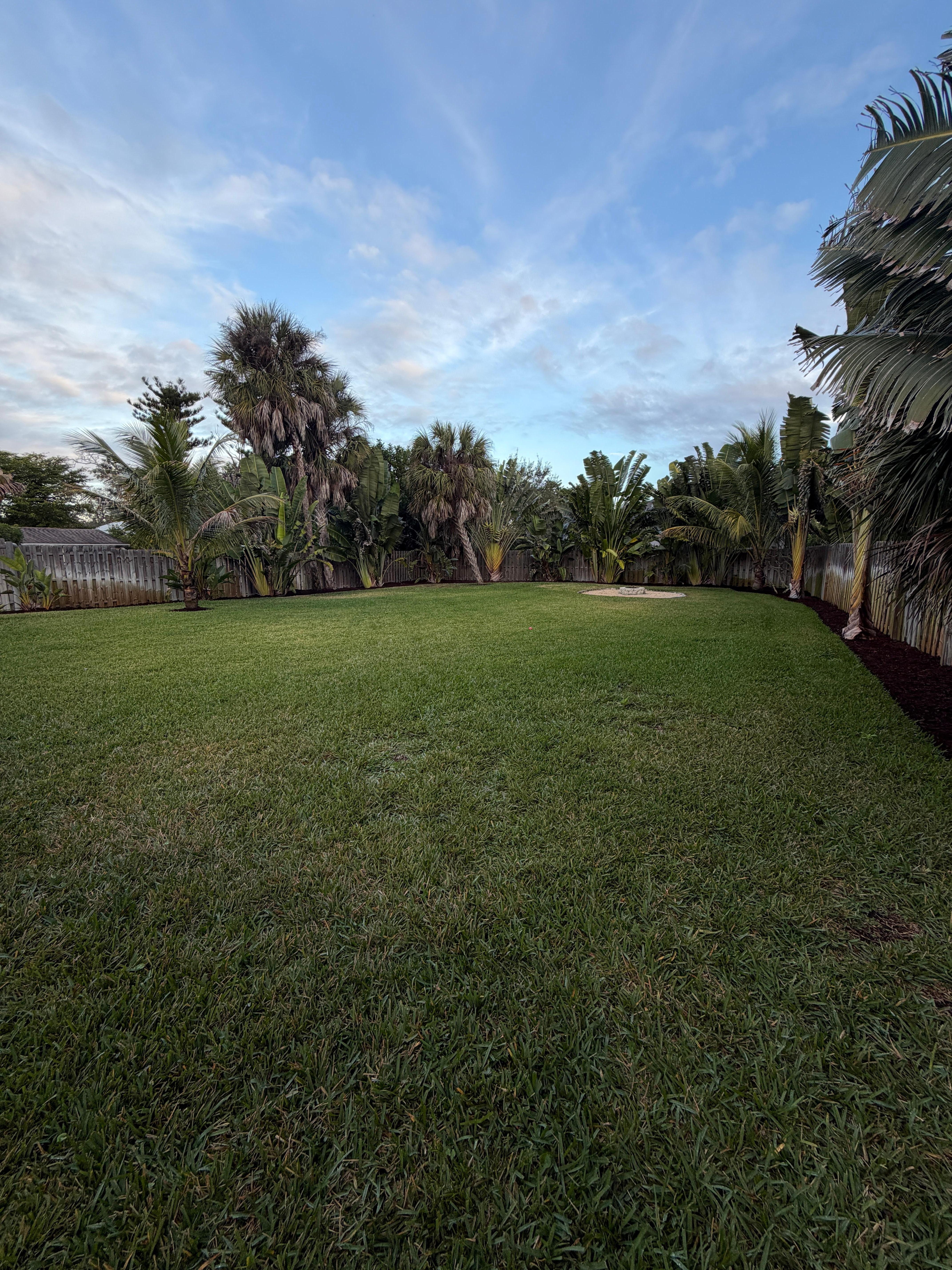 The most beautiful large backyard, perfect for traveling with pets!