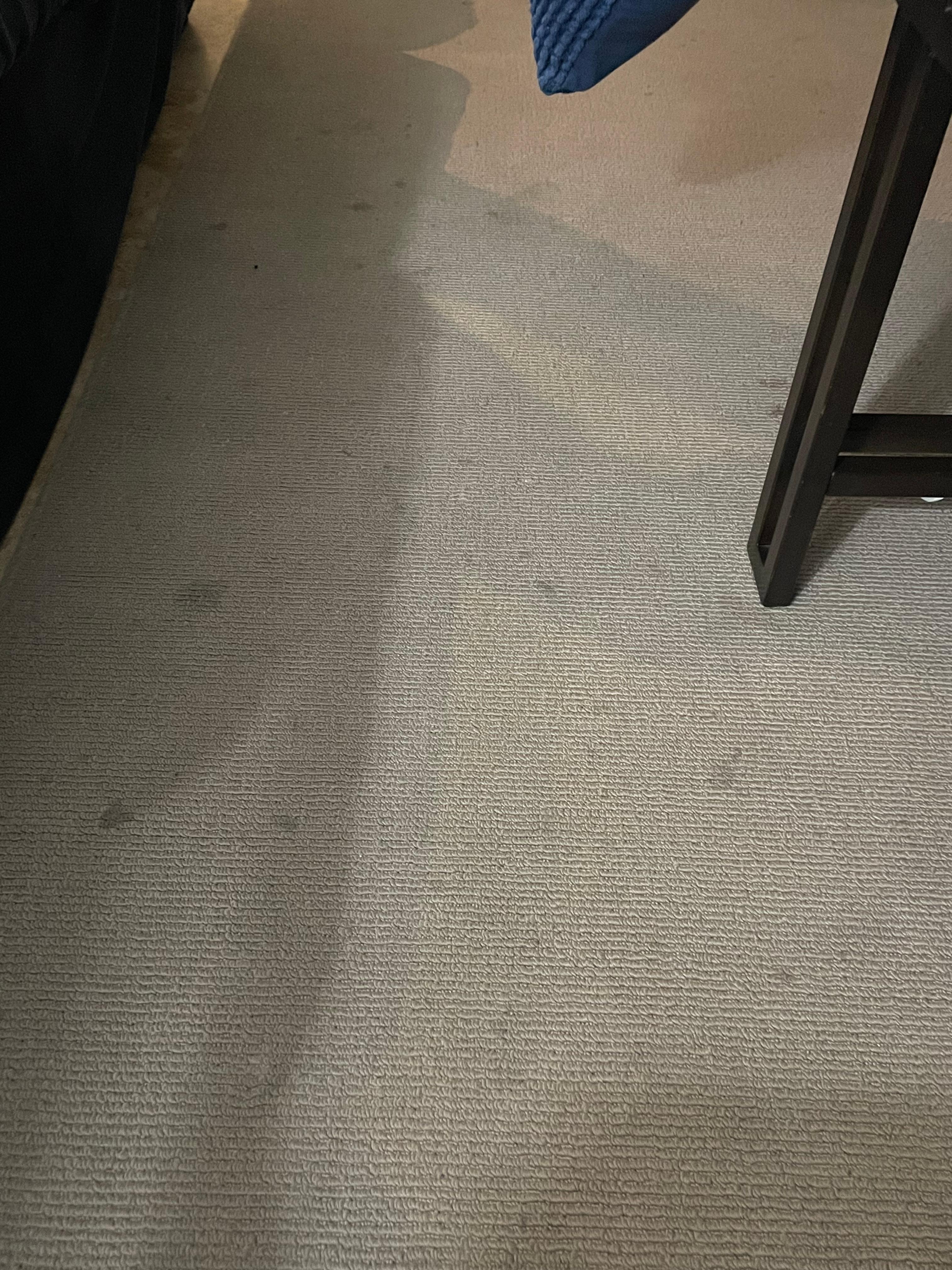 Living room rug is dirty