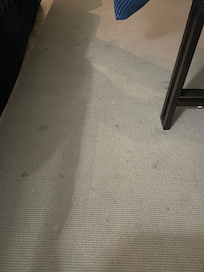 Living room rug is dirty