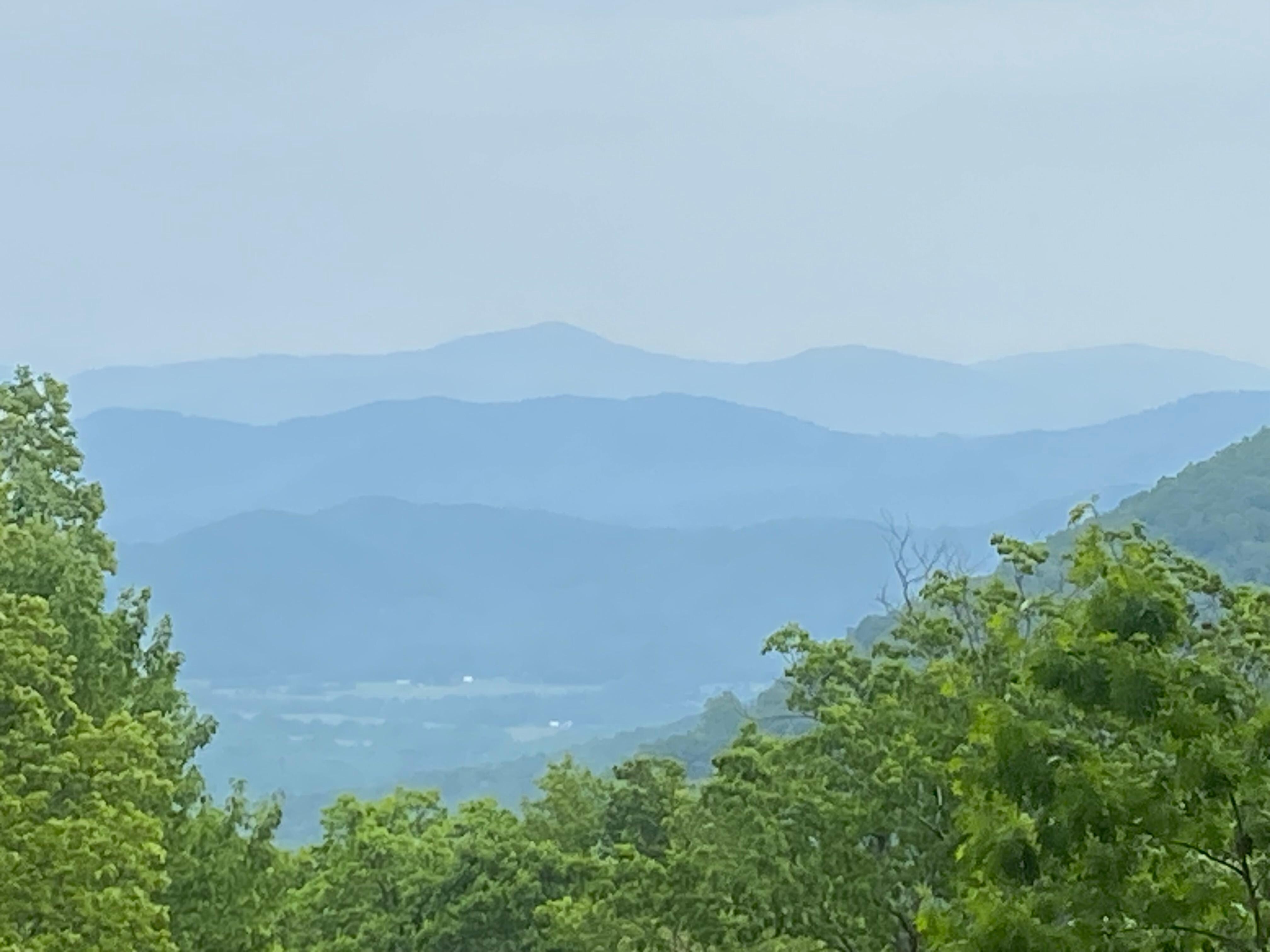 View from deck
