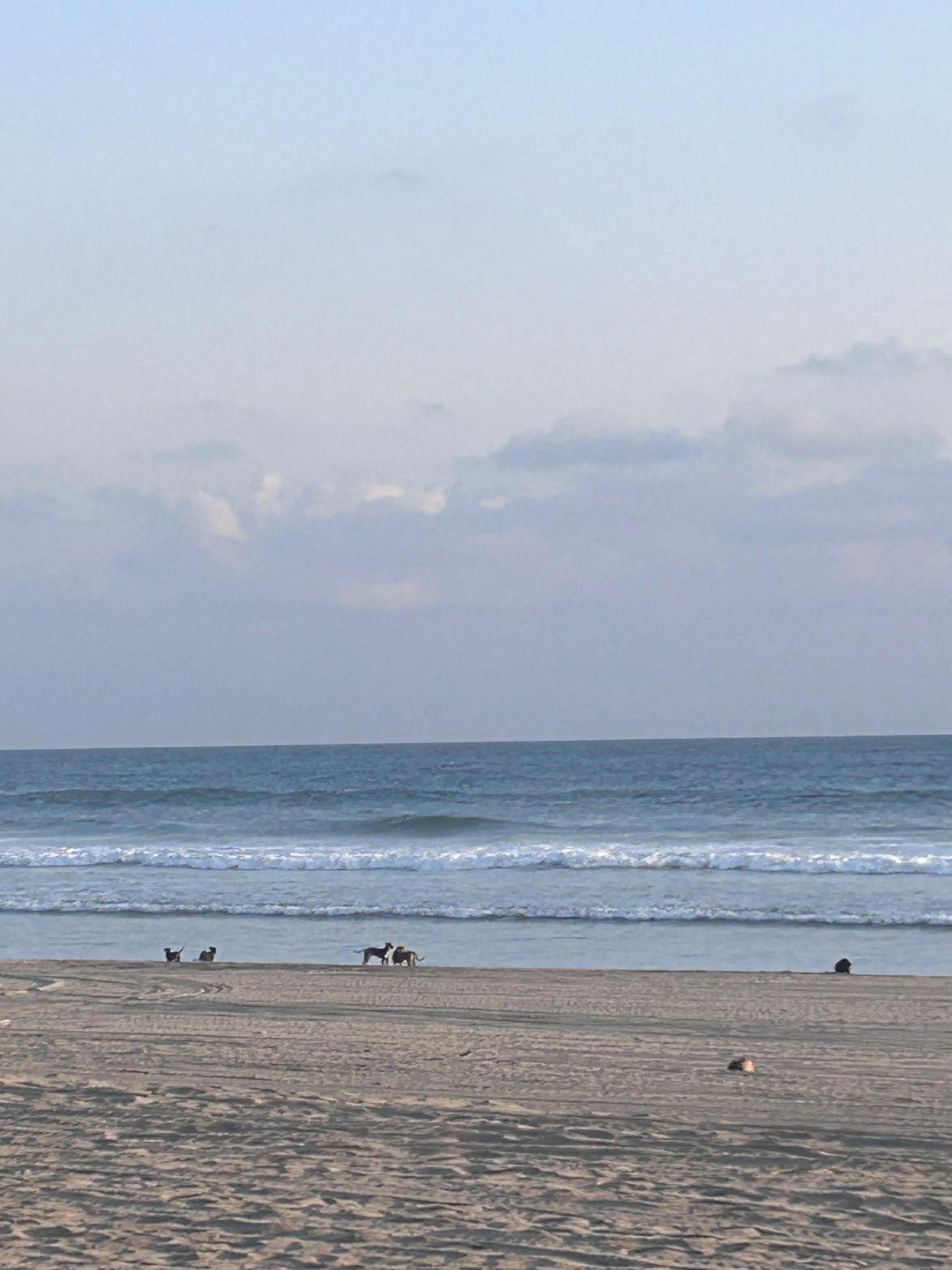 La playa muy tranquila 