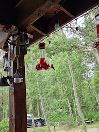 Hummingbird feeder