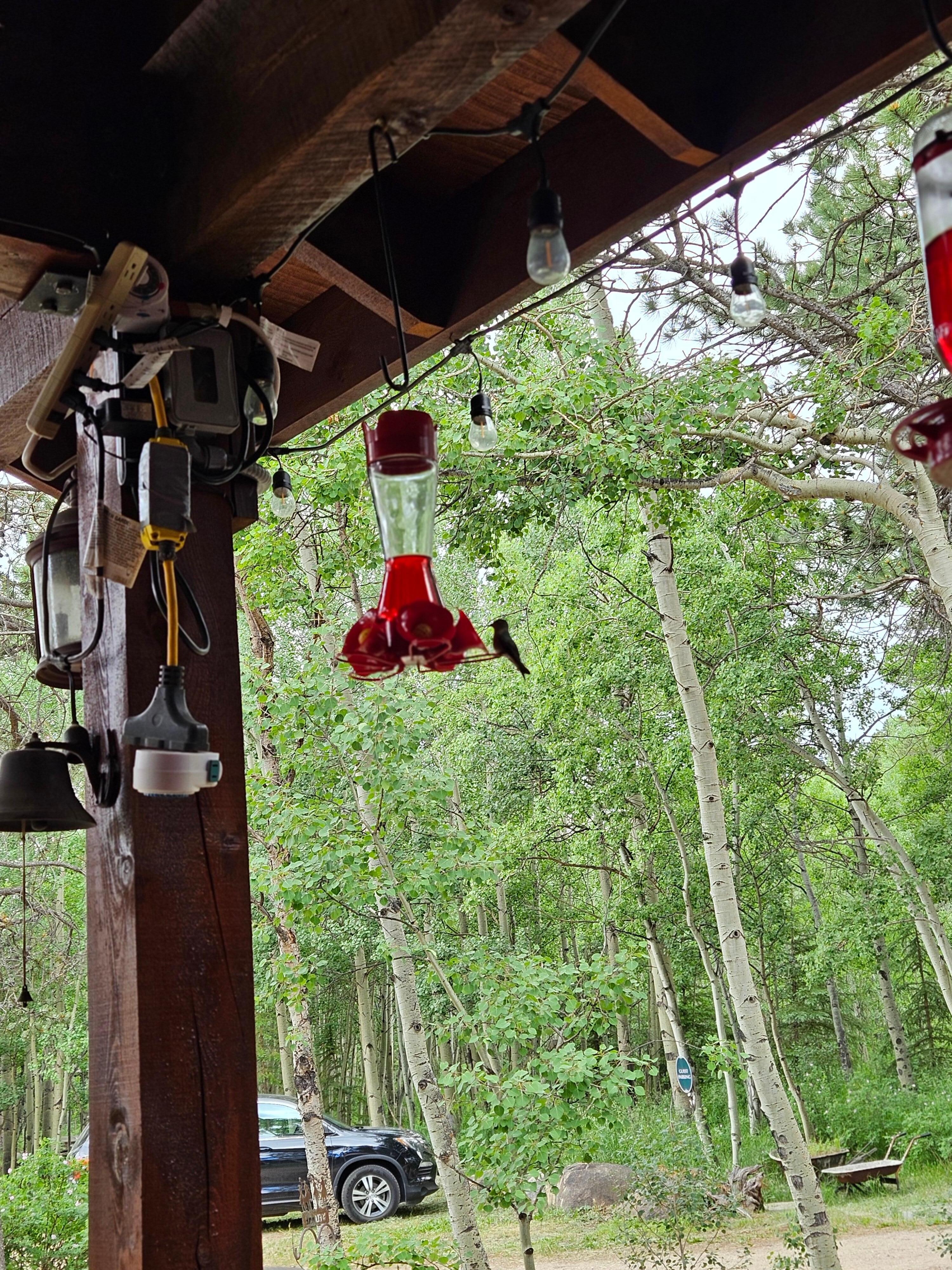 Hummingbird feeder