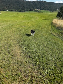 Coucou moi c’est Sully