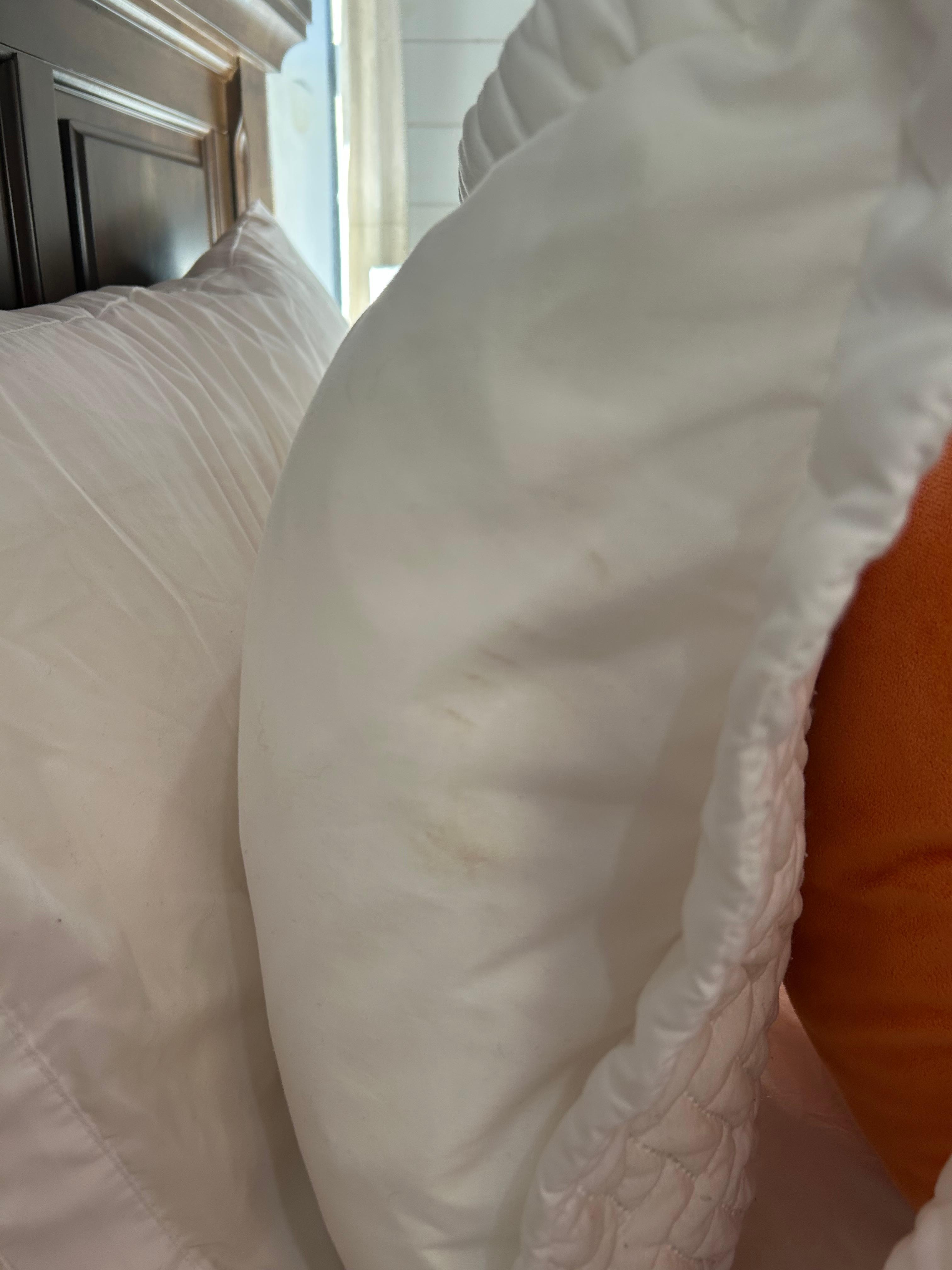 Clean bedding is not optional, and neither is ethical customer service 