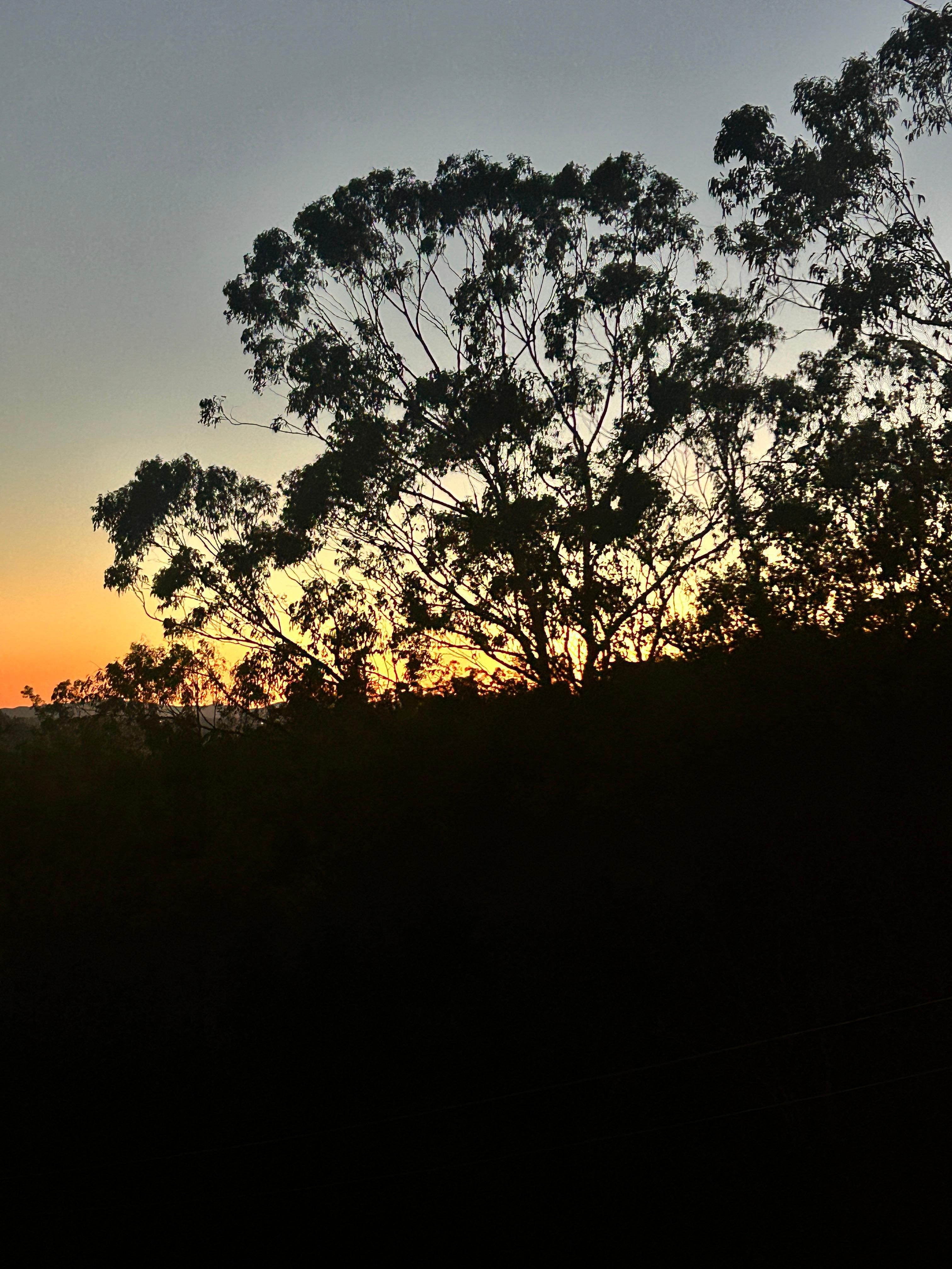 Sunset of the balcony 