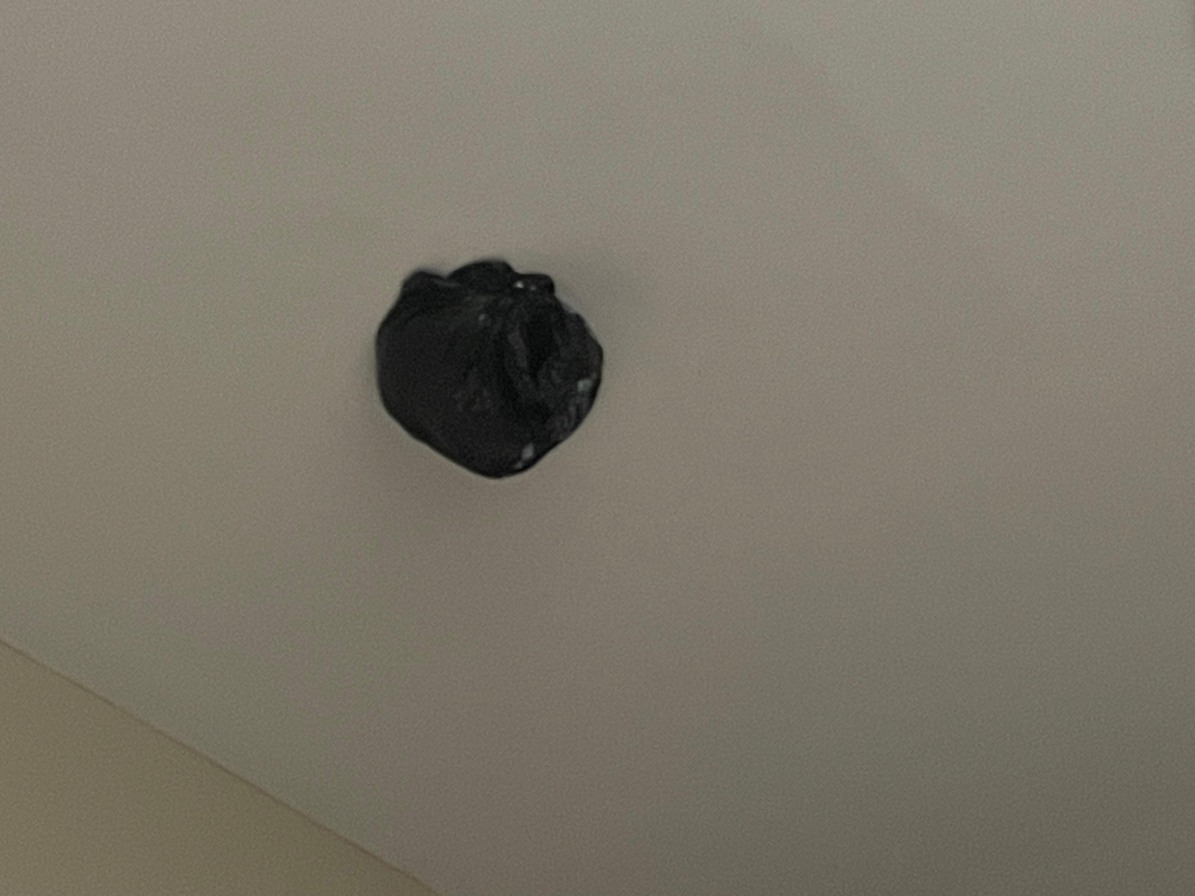 Black plastic bag over smoke detector