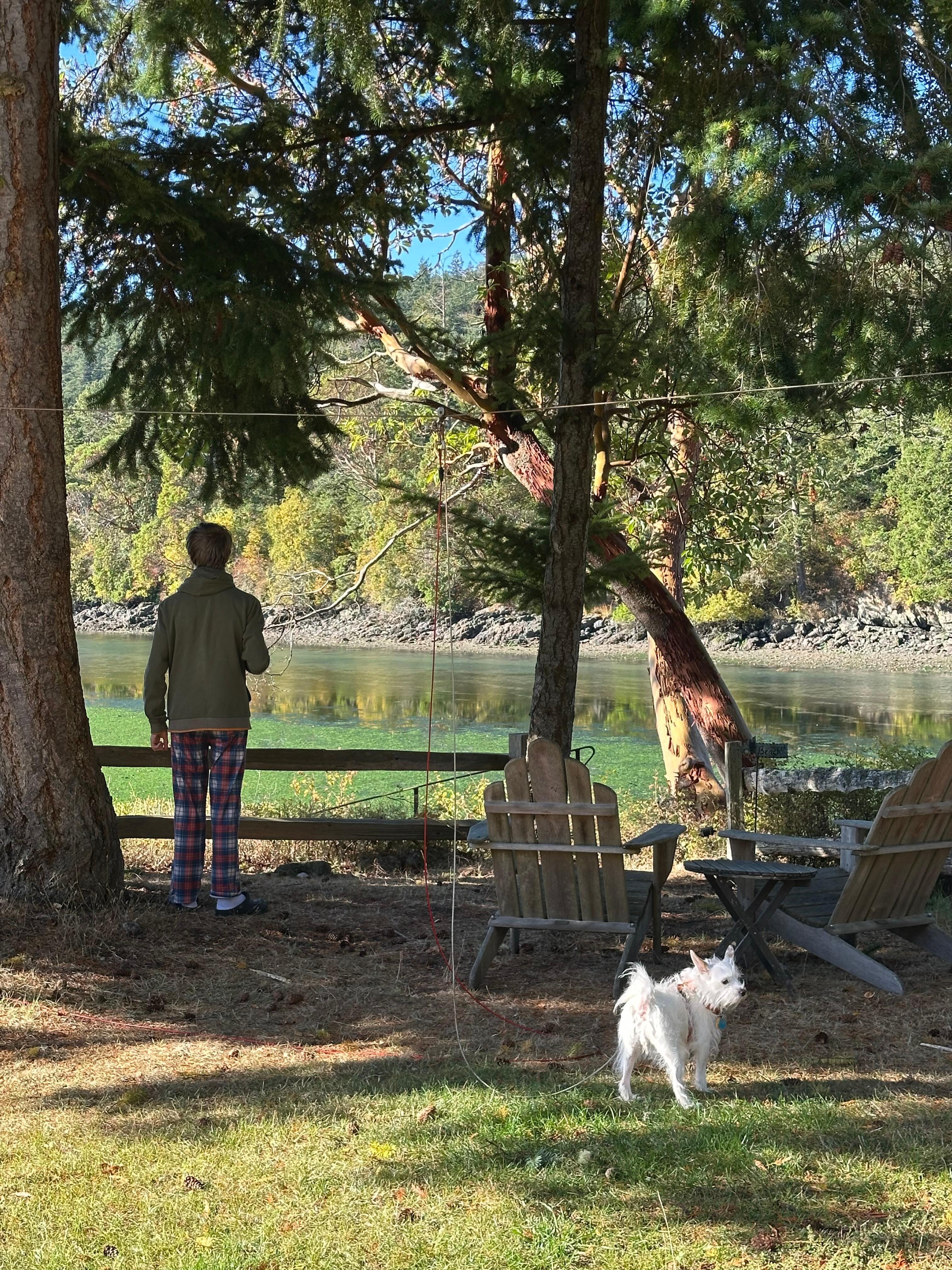 Beautiful view from cabin