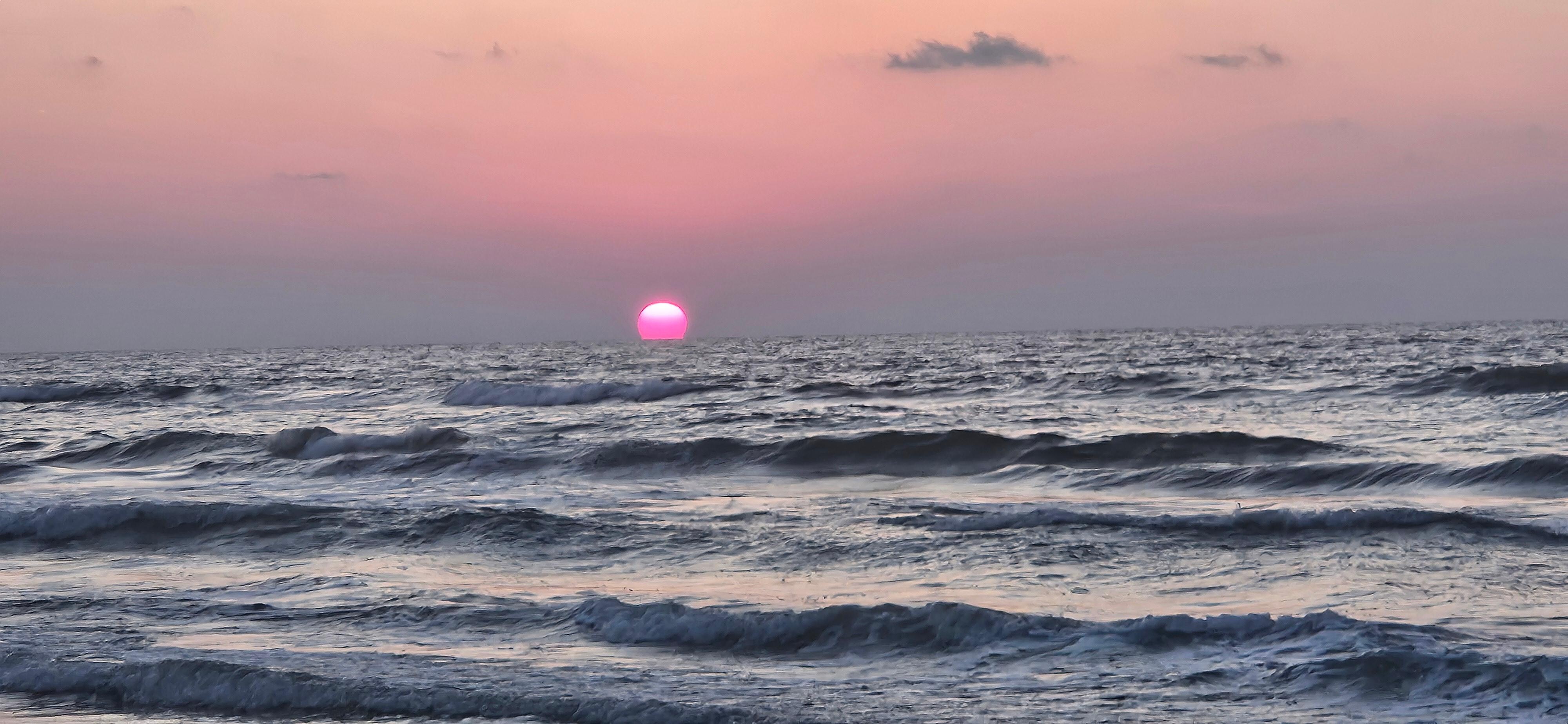 7am just steps from the sea turtle